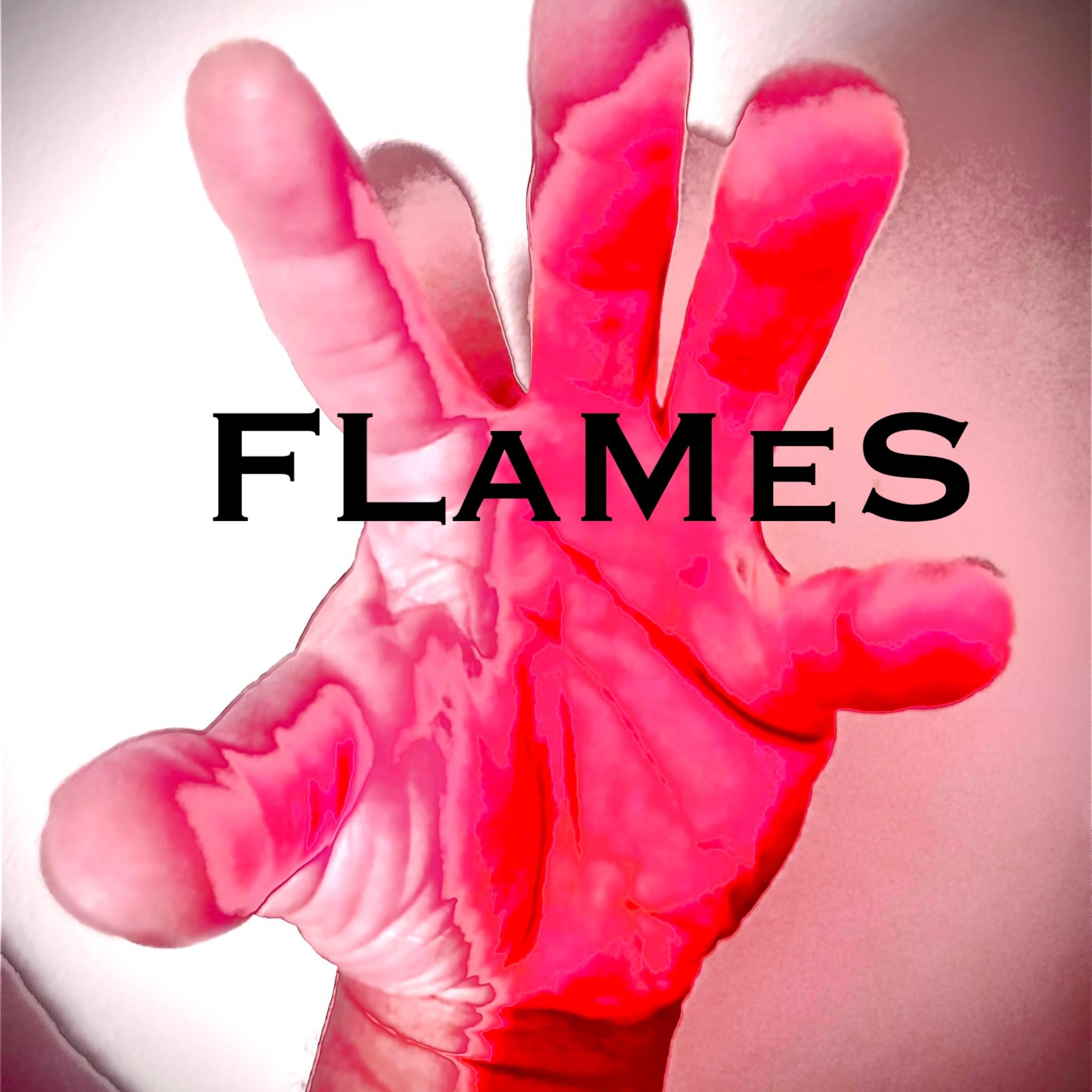 FLaMeS artwork