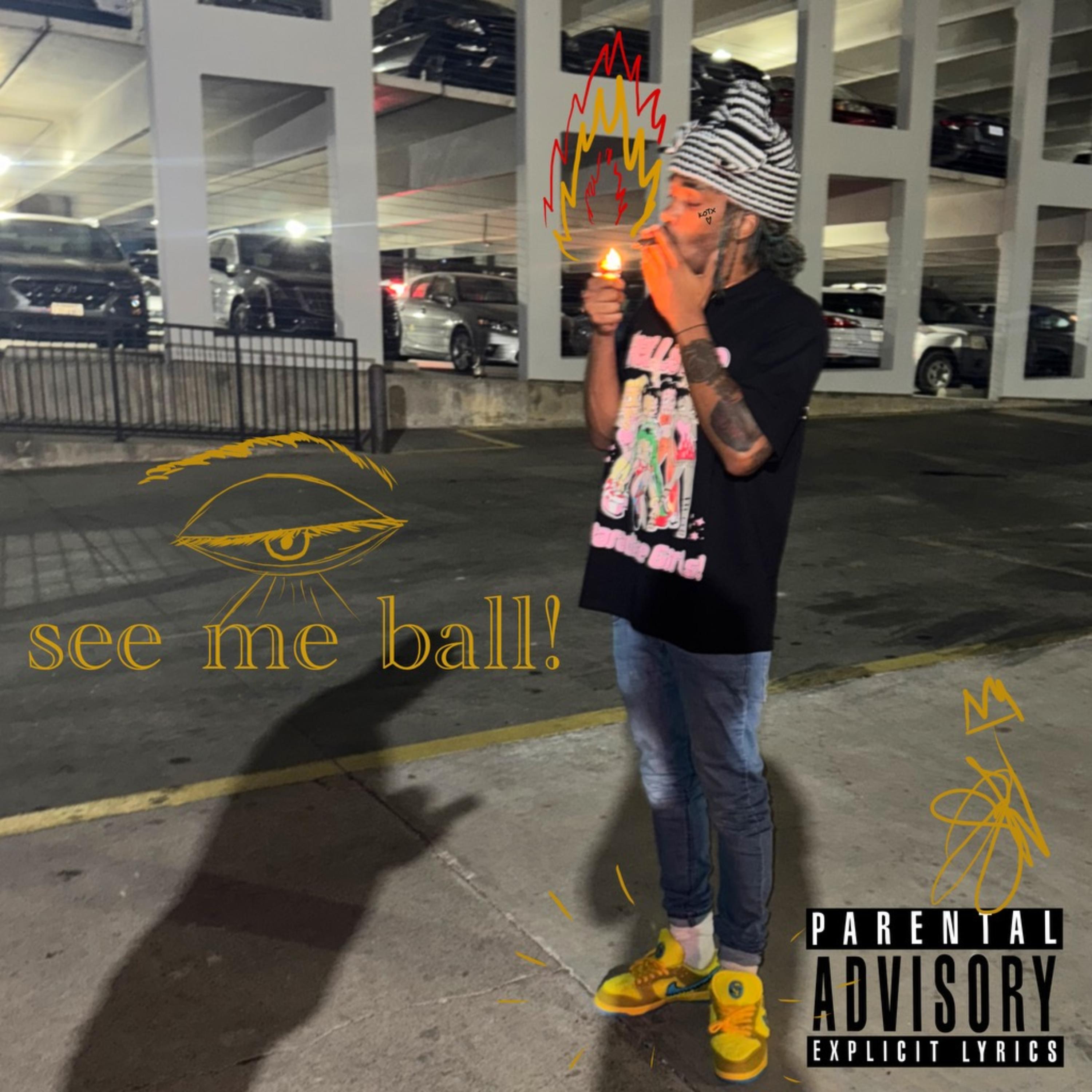 See Me Ball! artwork