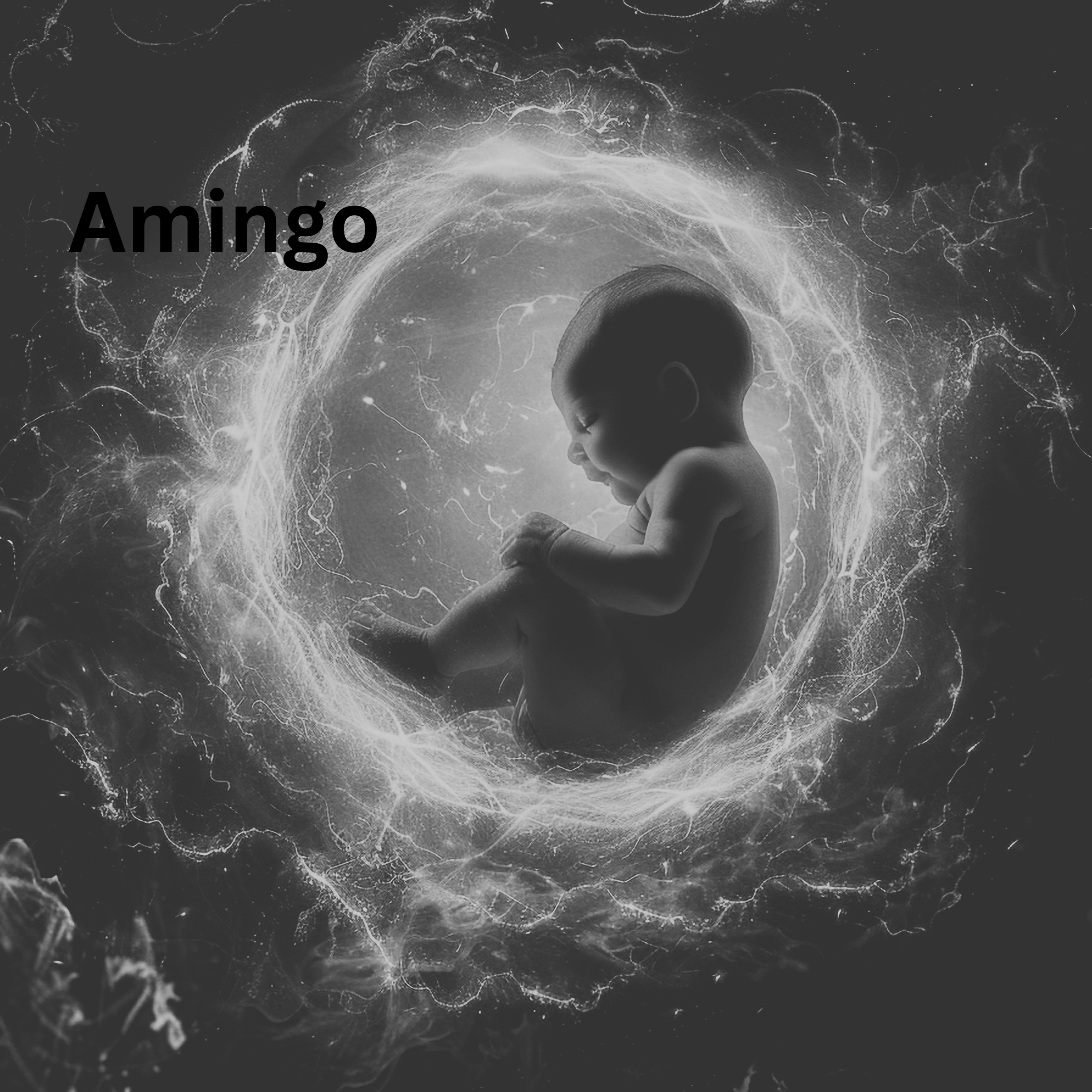 Disc 2 by Amingo za cover art