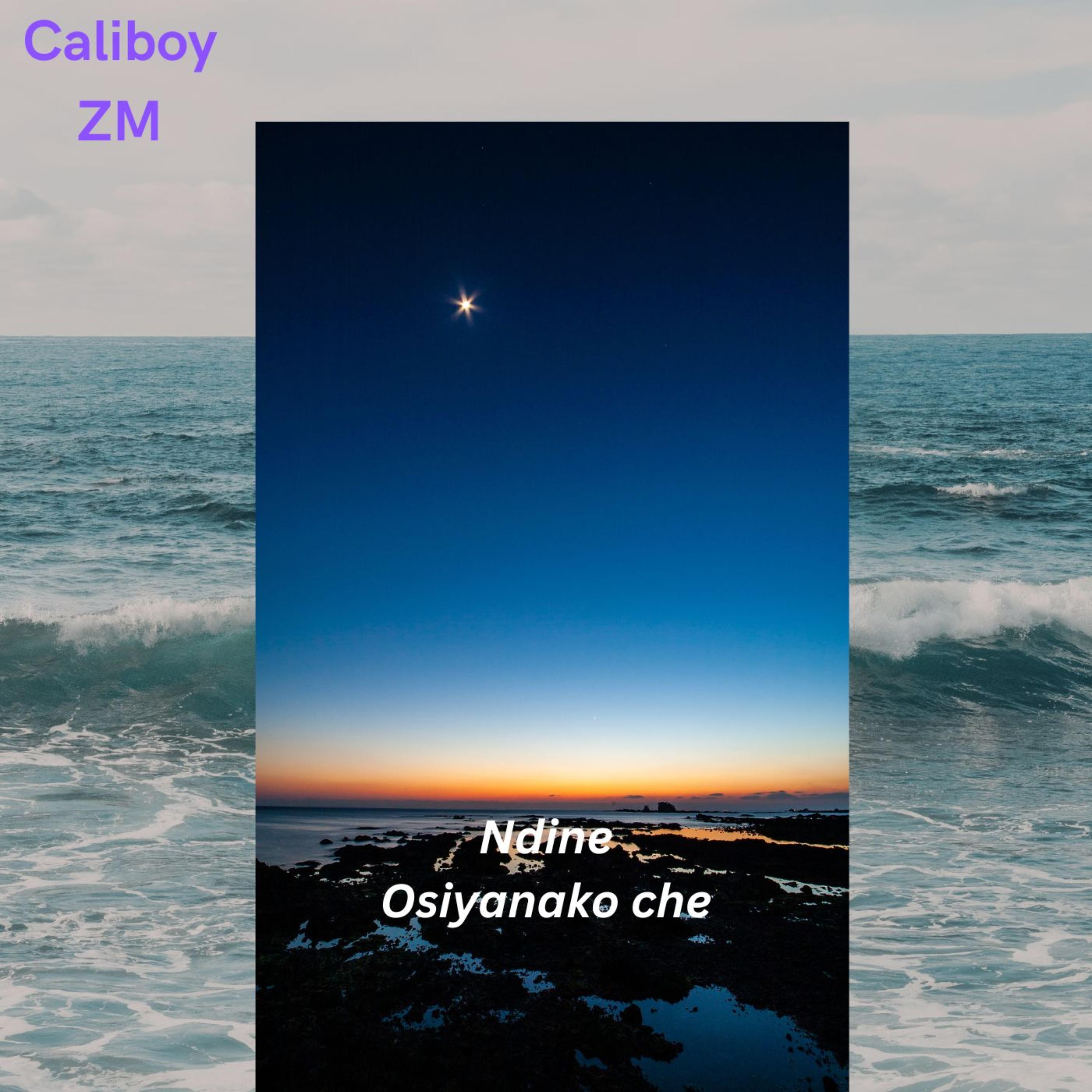 Ndine Osiyanako che by Caliboy ZM cover art