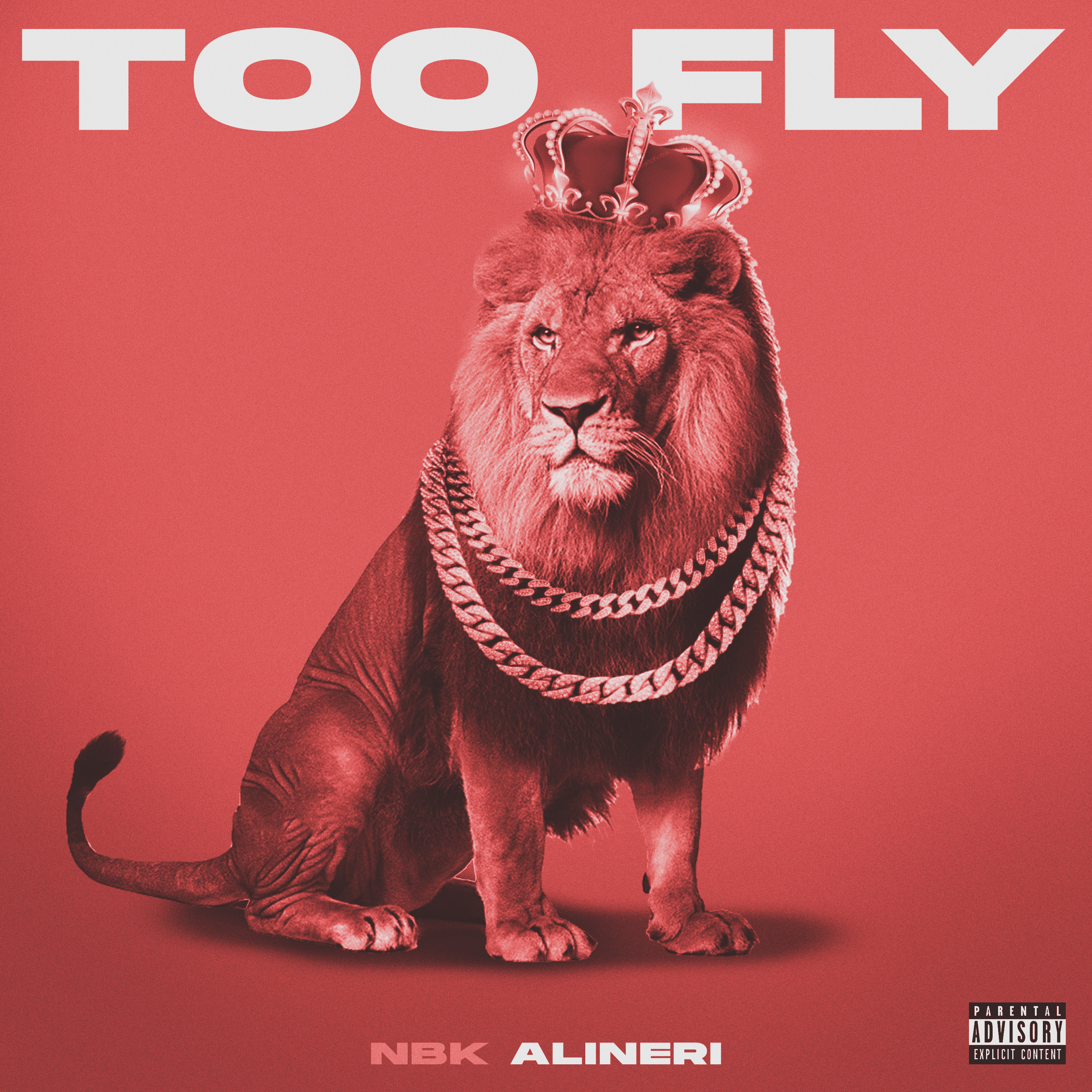 Too Fly artwork