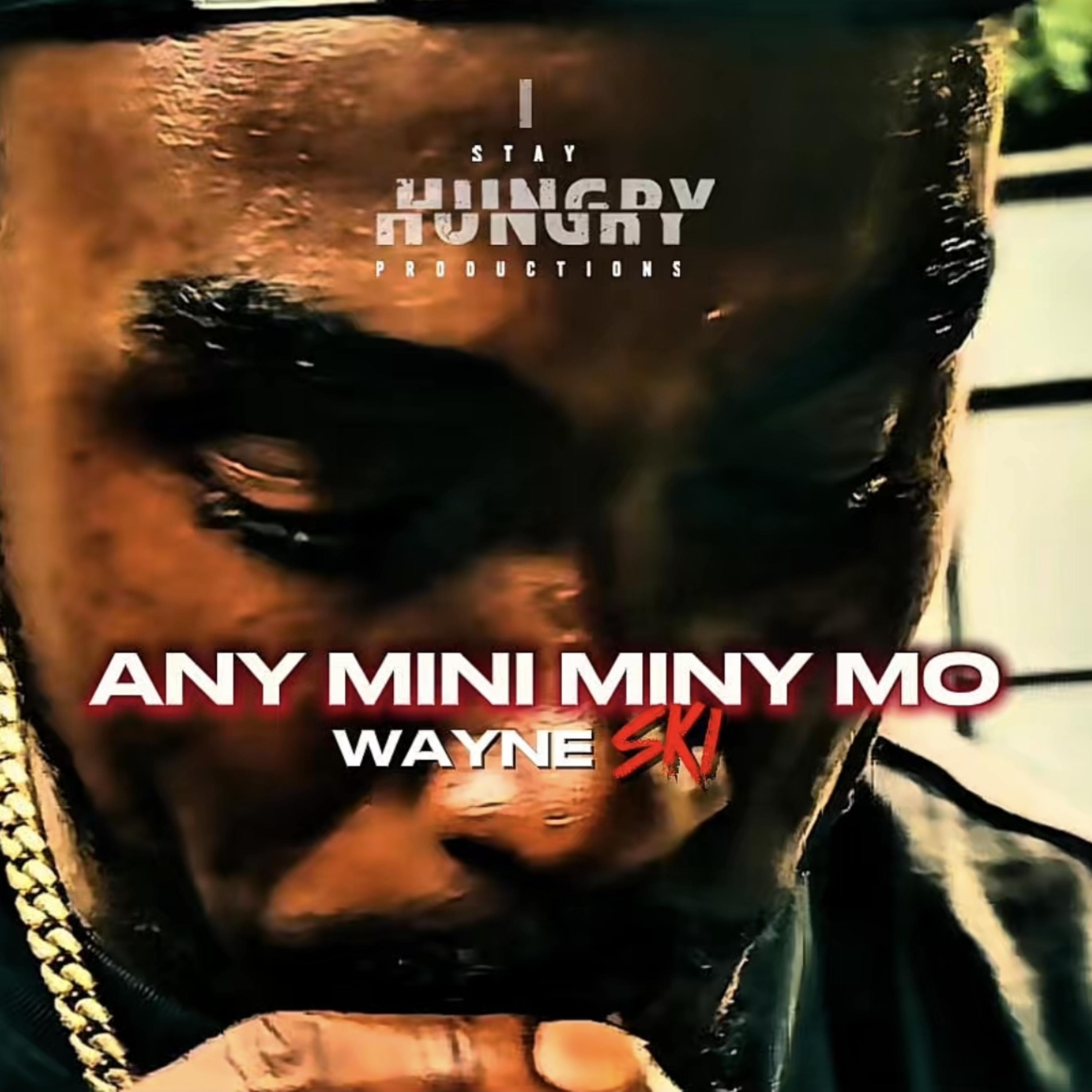 Any Mini Miny Mo by Wayne SKI cover art