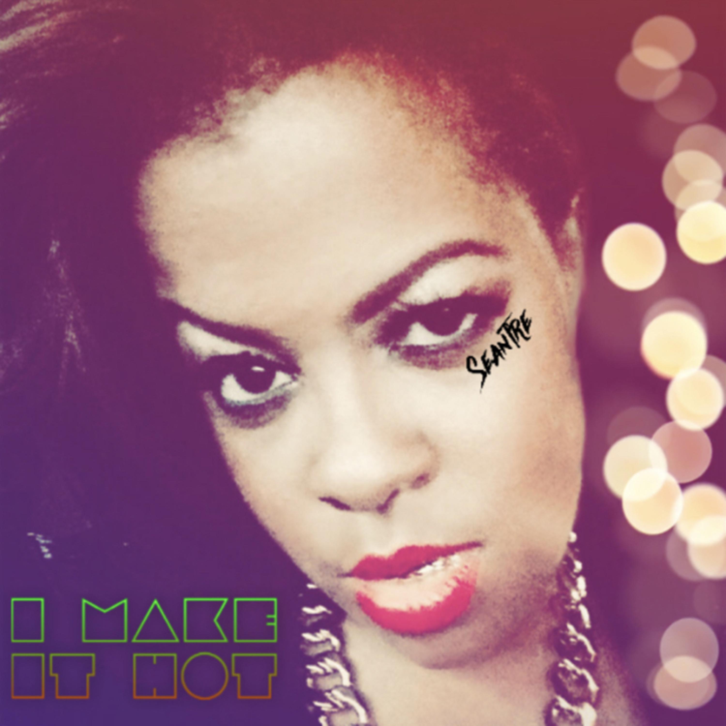 I MAKE IT HOT artwork