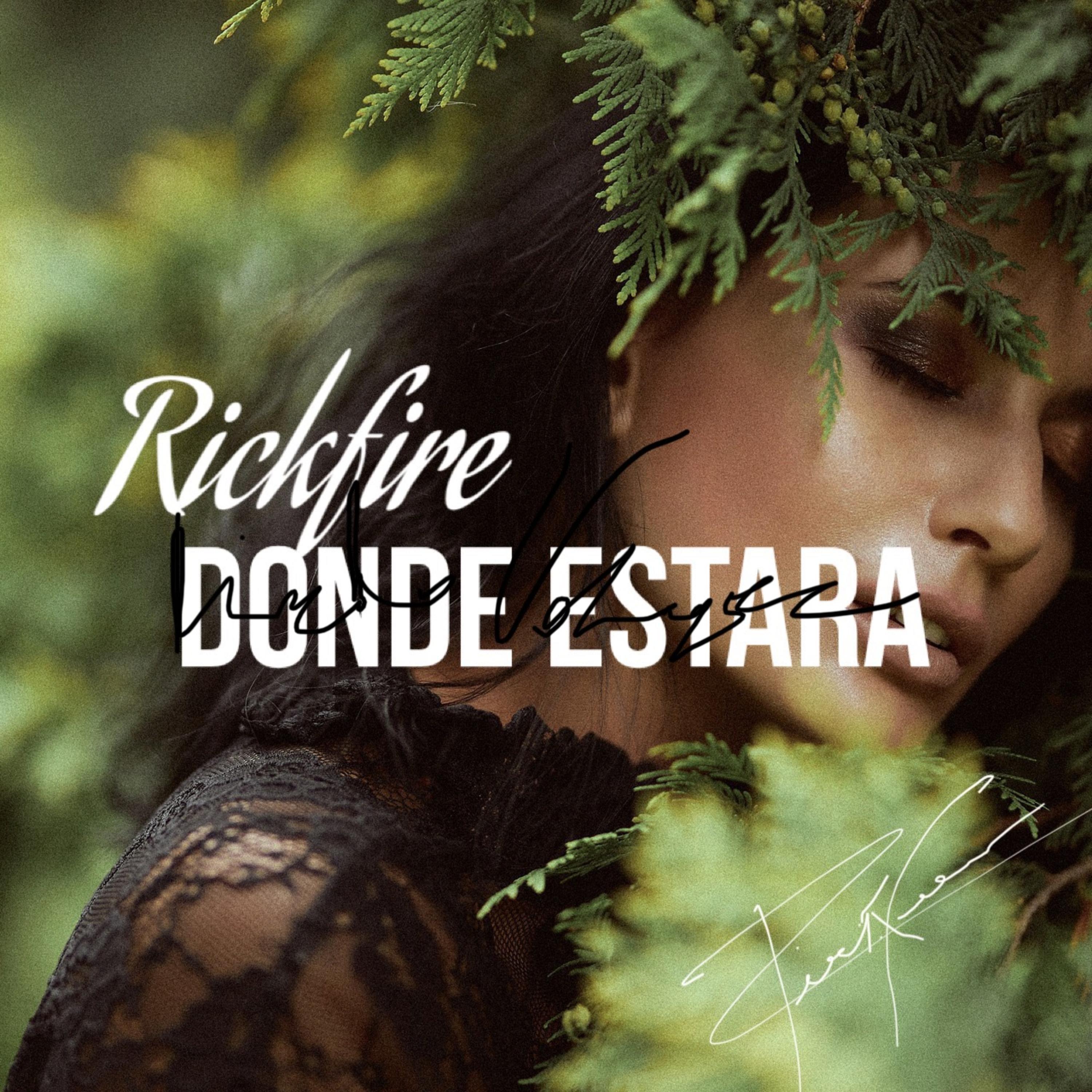 Donde Estara artwork