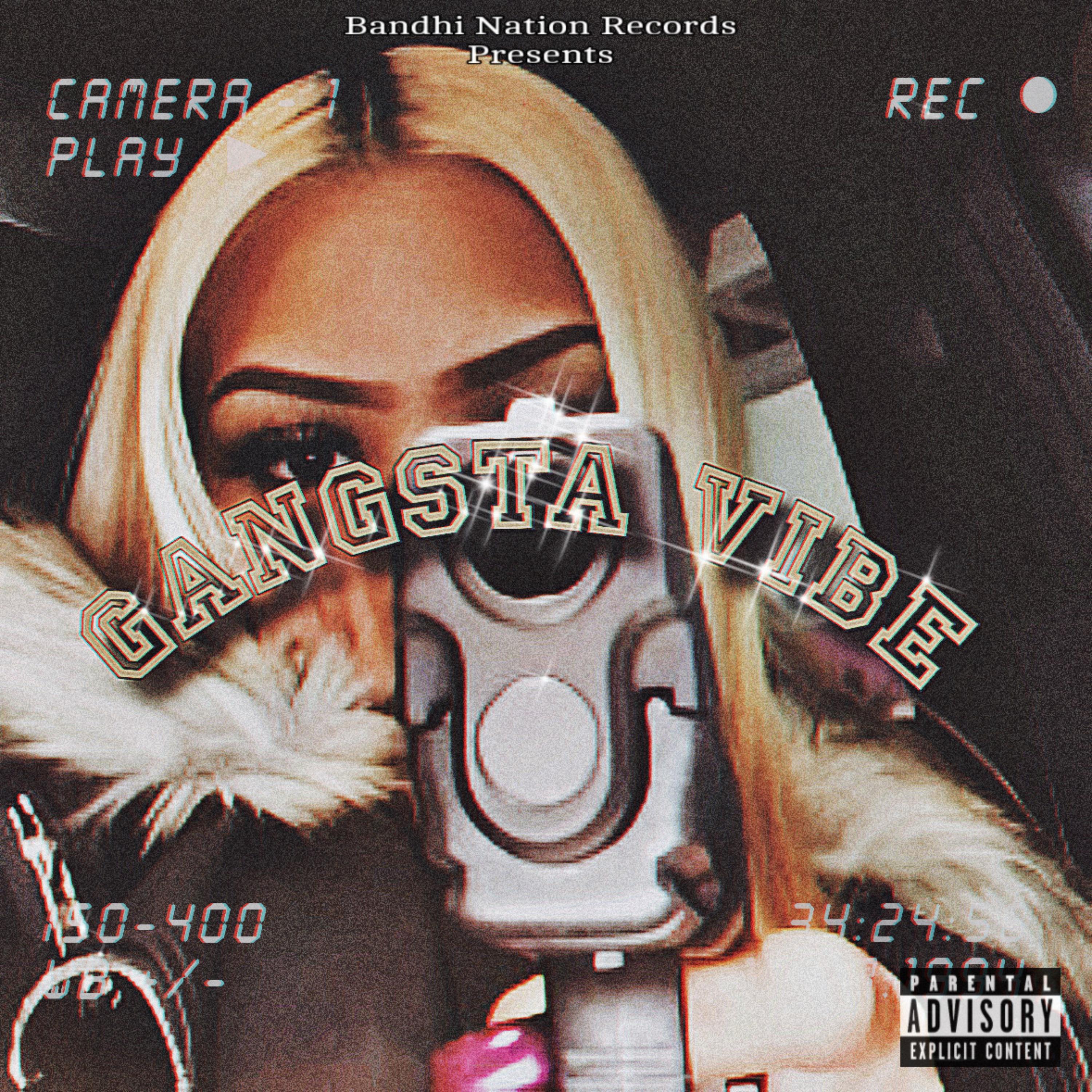 Gangsta Vibe artwork
