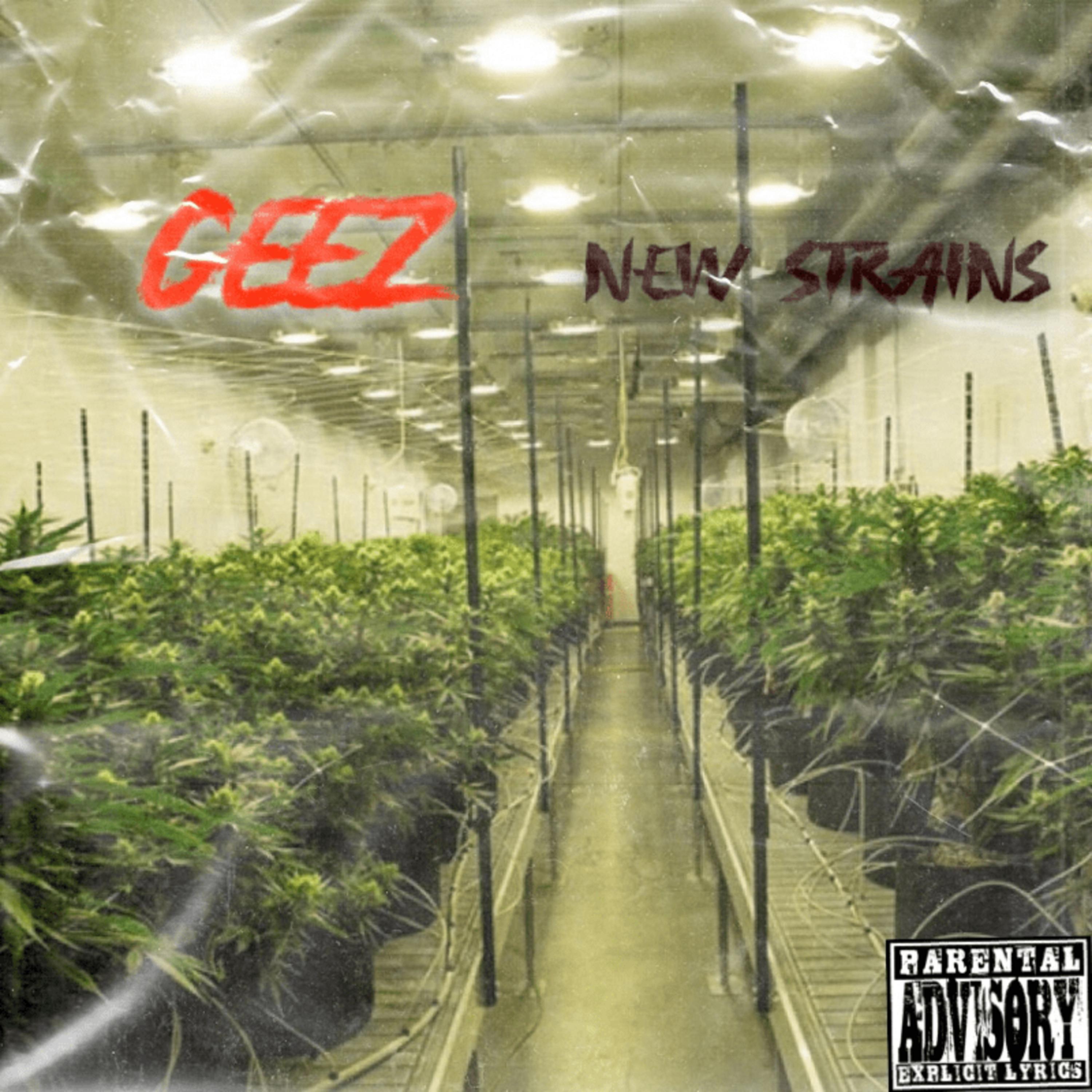 New Strains artwork