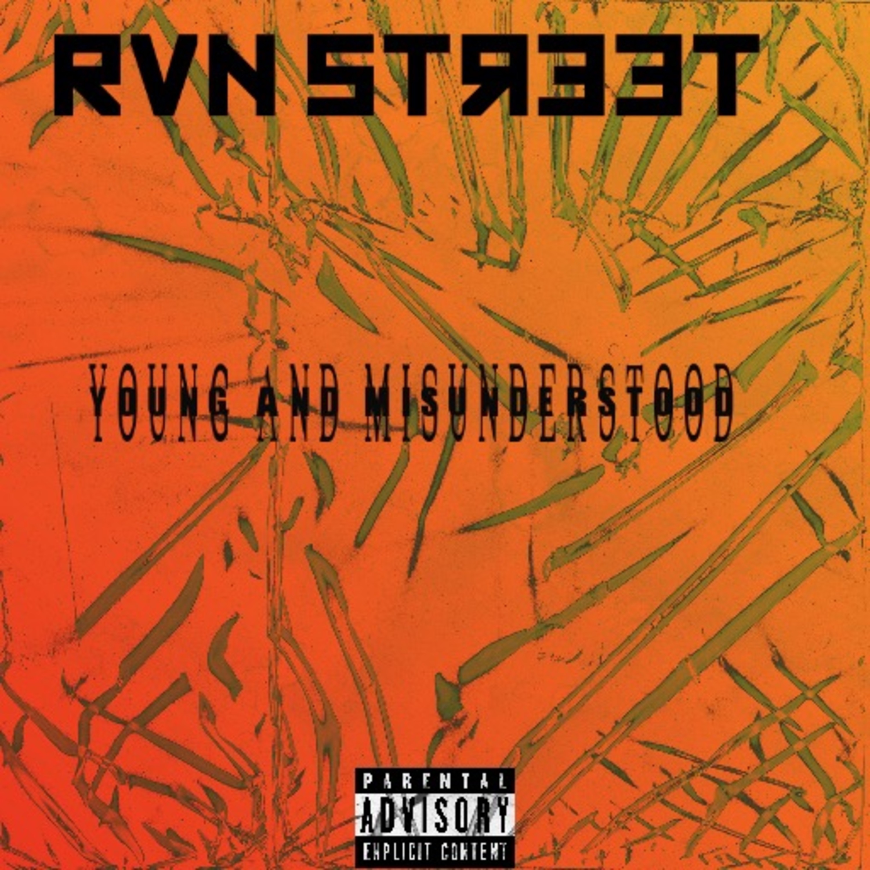Young & Misunderstood (remix) artwork