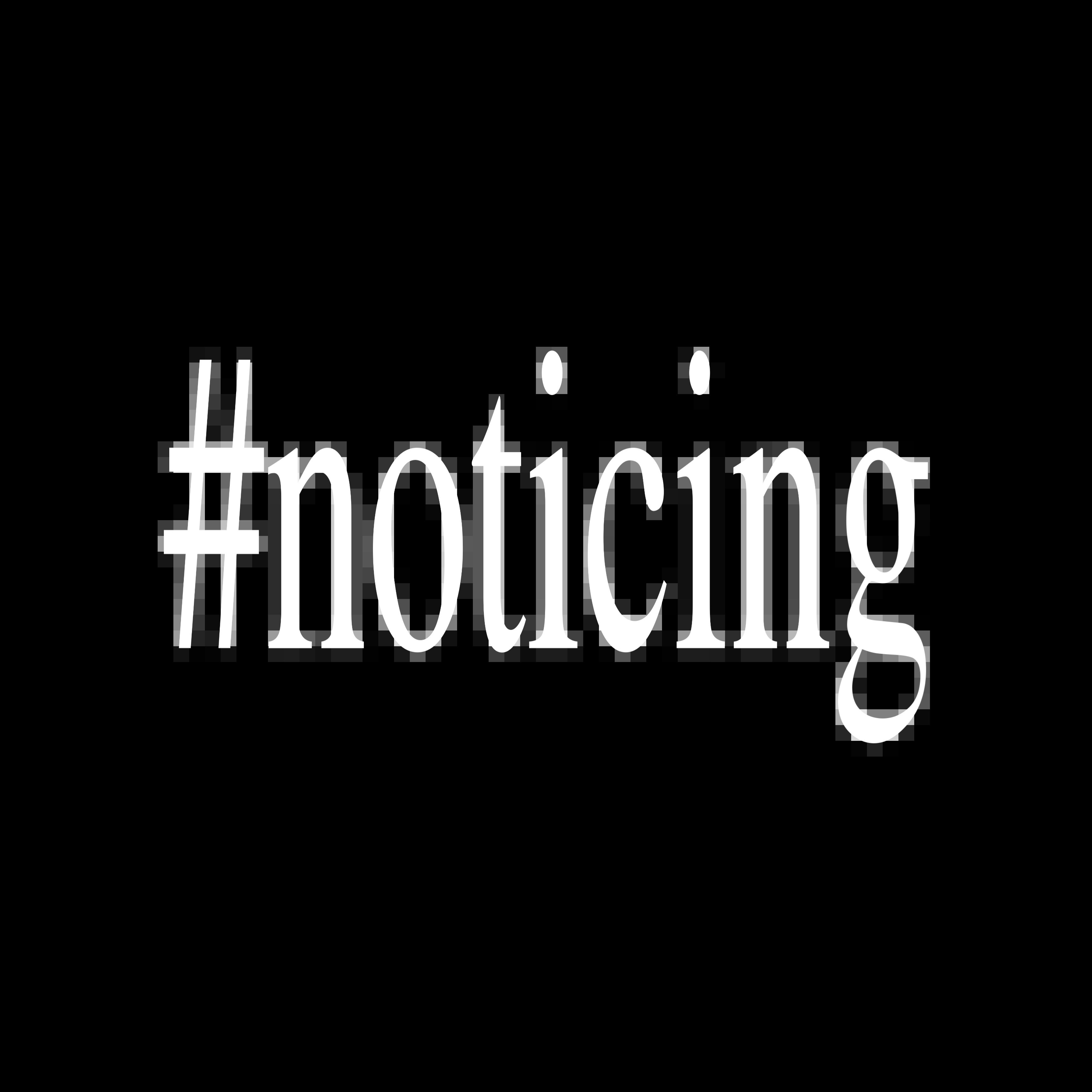 #noticing by allcvsts cover art