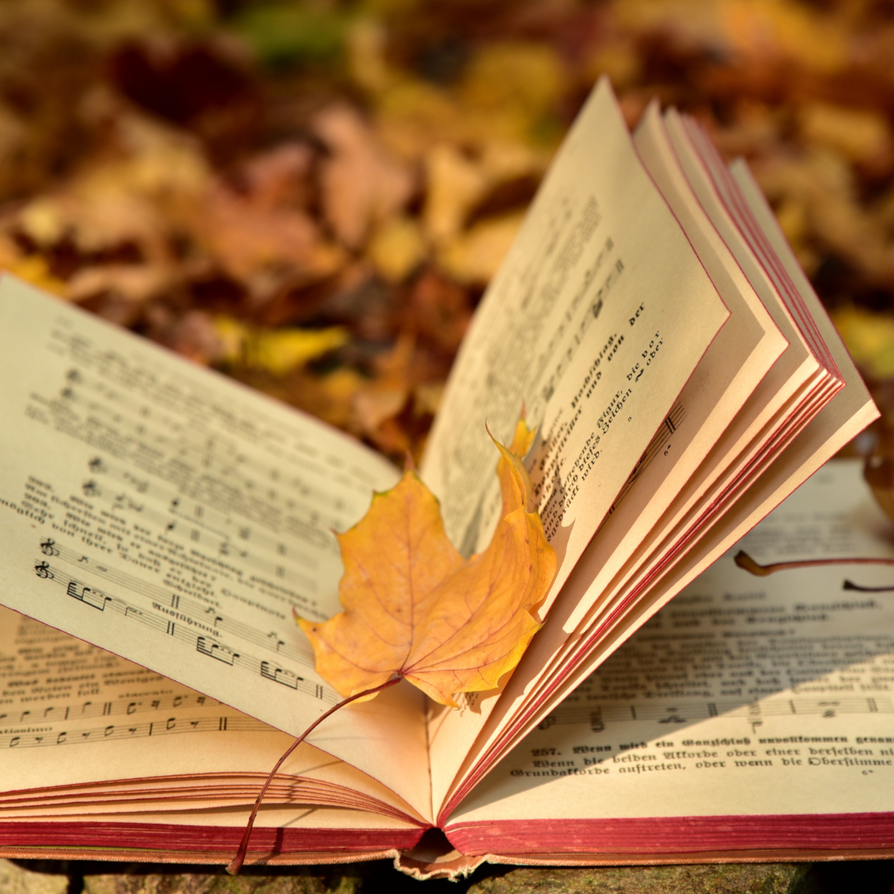 Forgot to Forget artwork