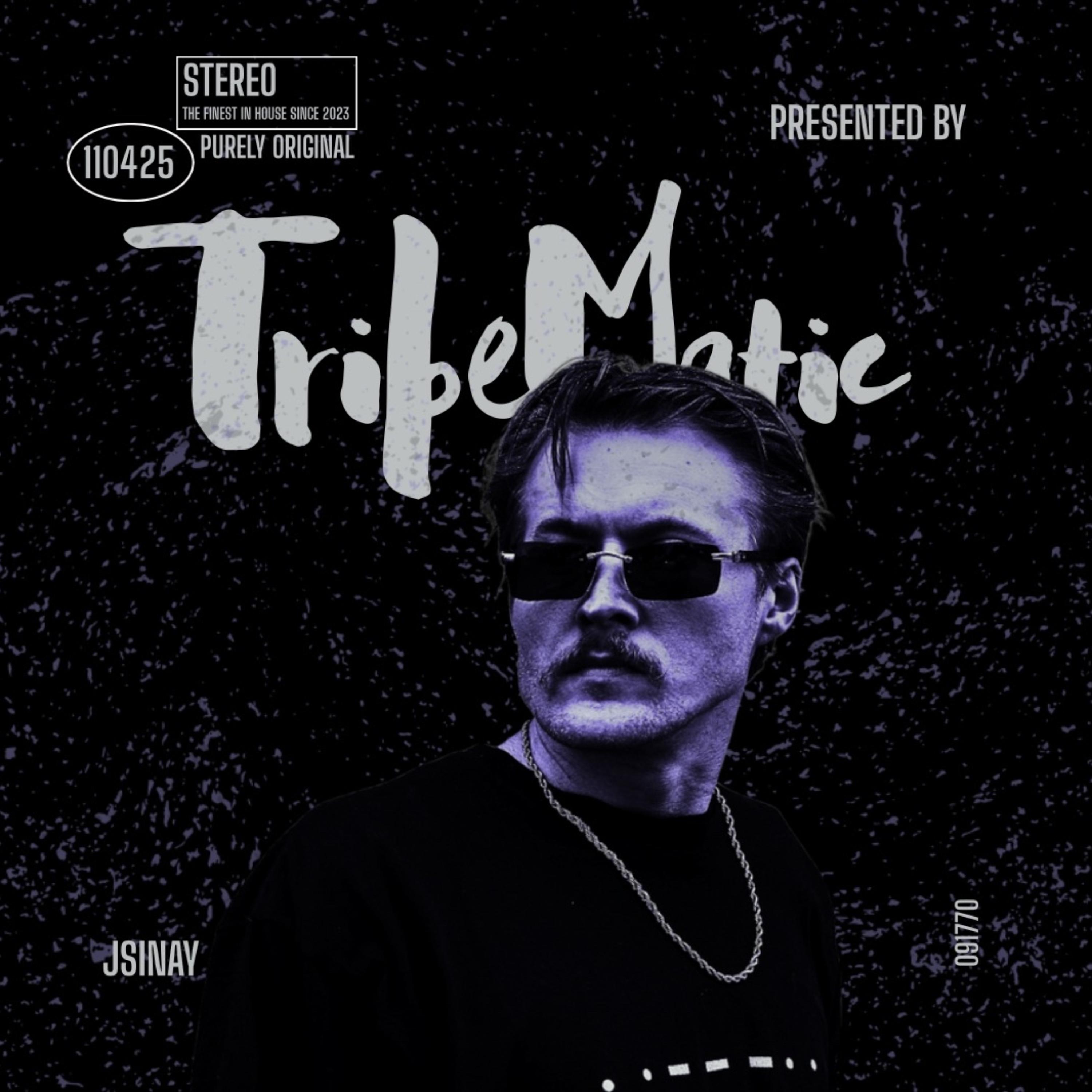 TribeMatic artwork