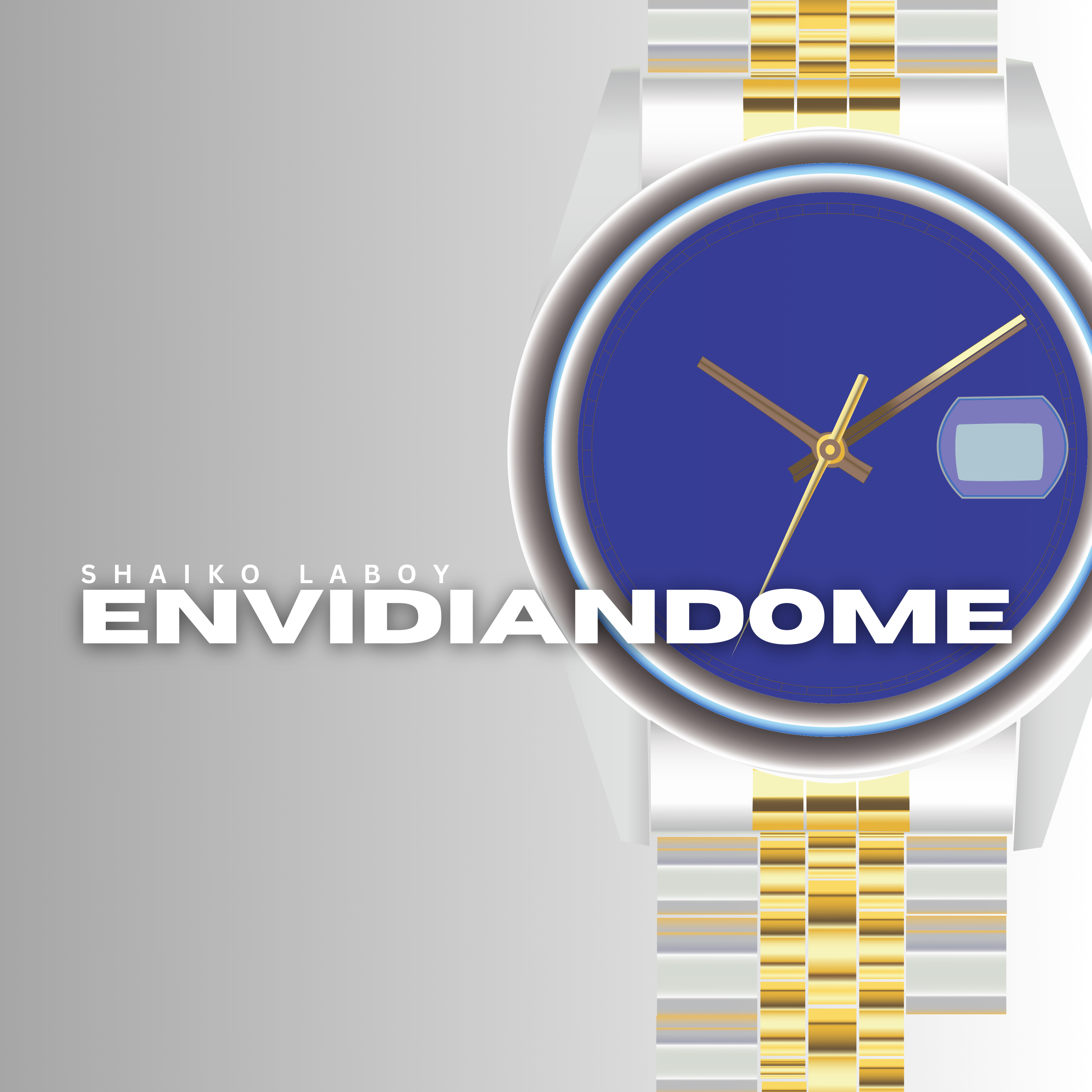 ENVIDIANDOME artwork