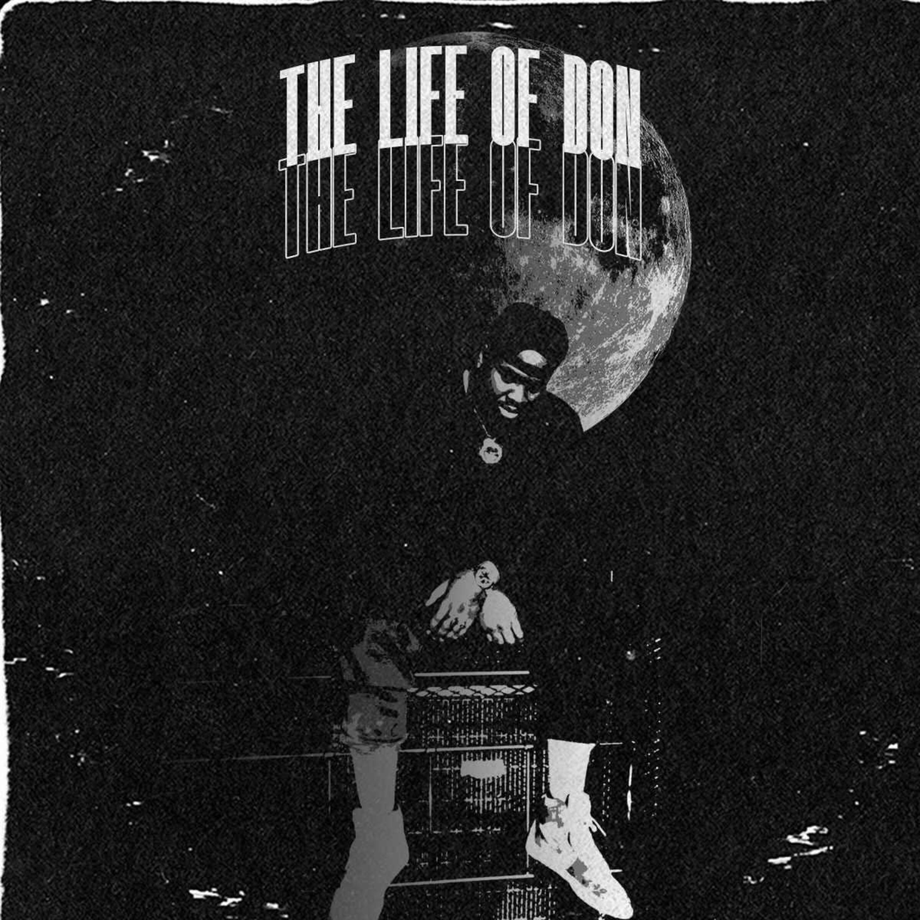 The Life of Don artwork