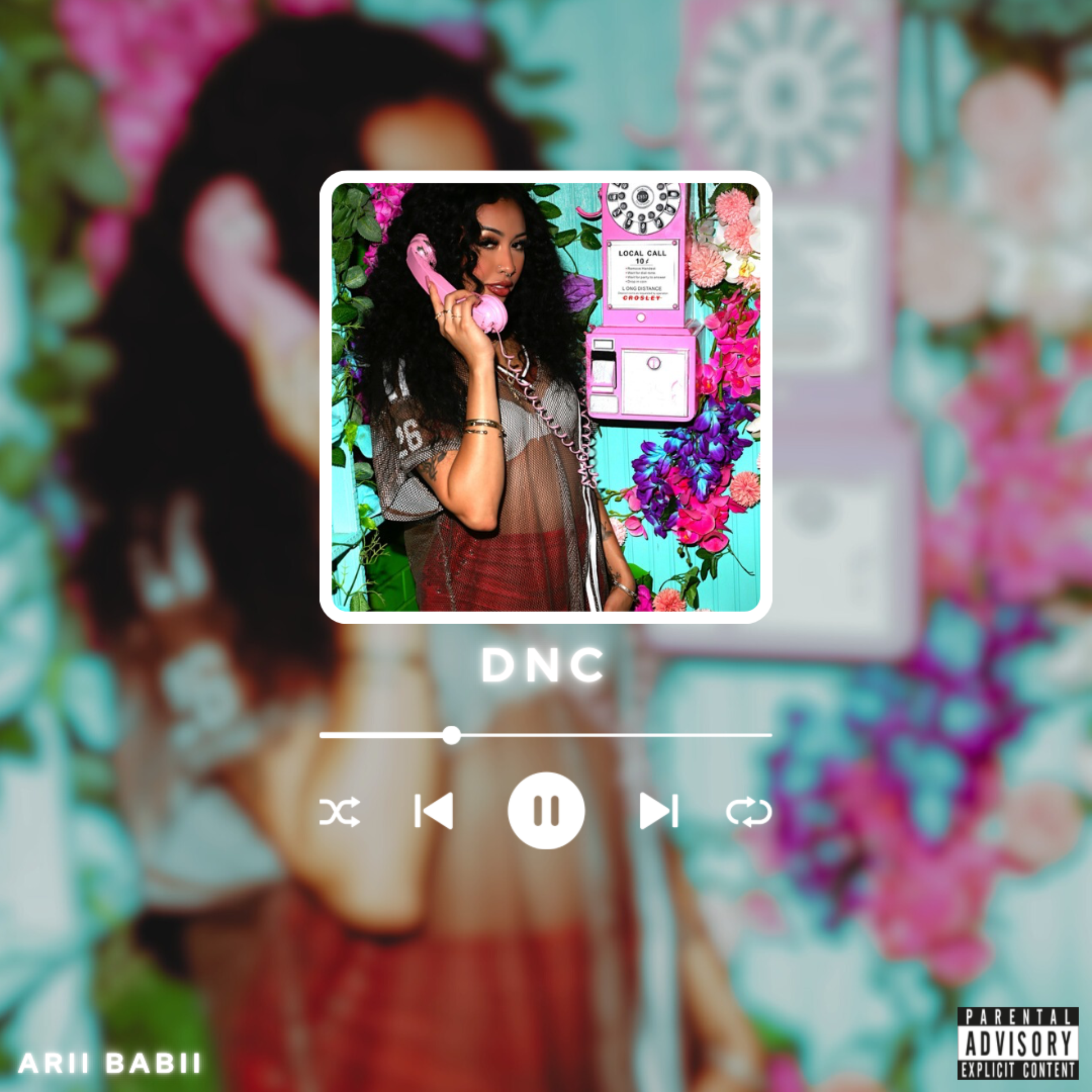 DNC artwork