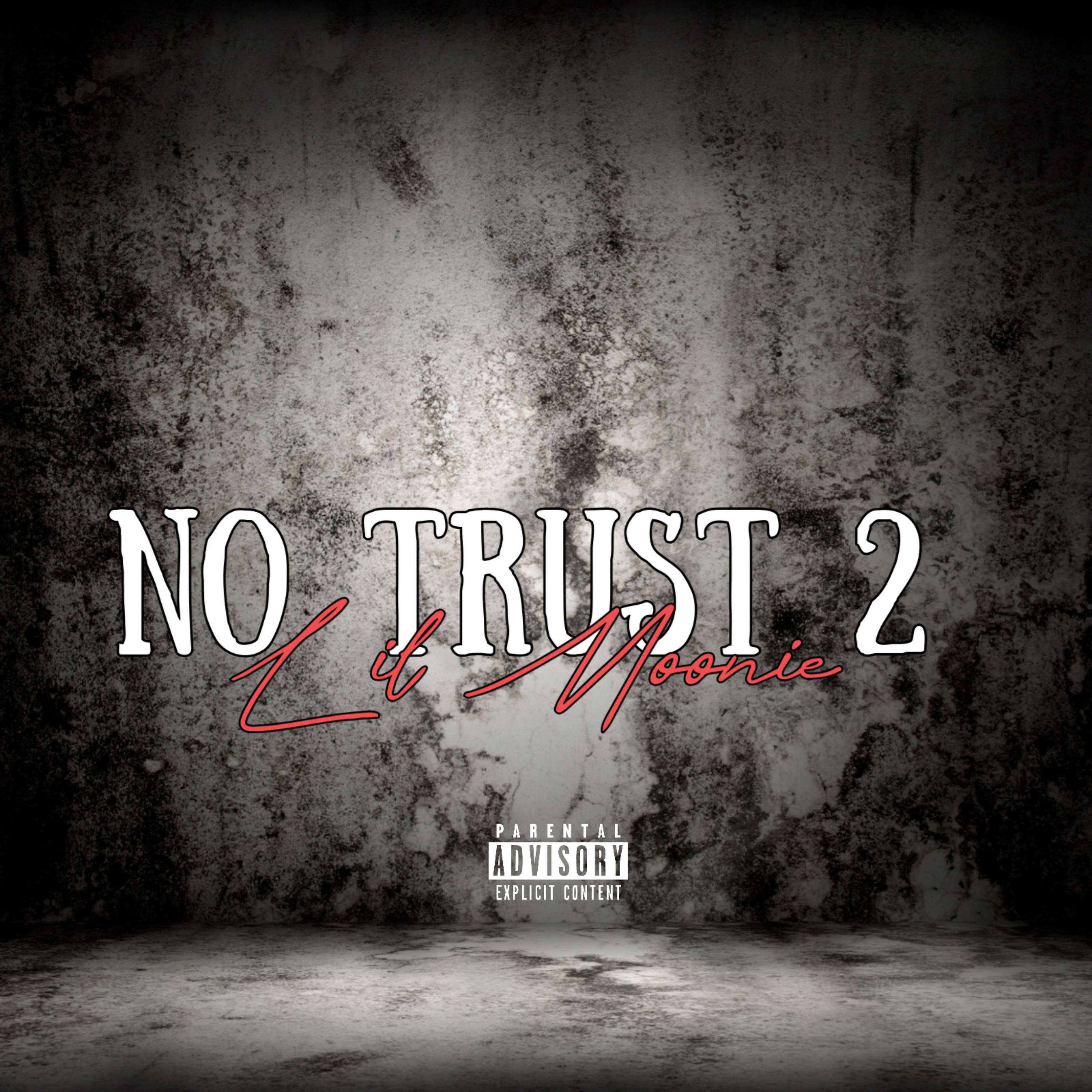 No Trust 2 artwork