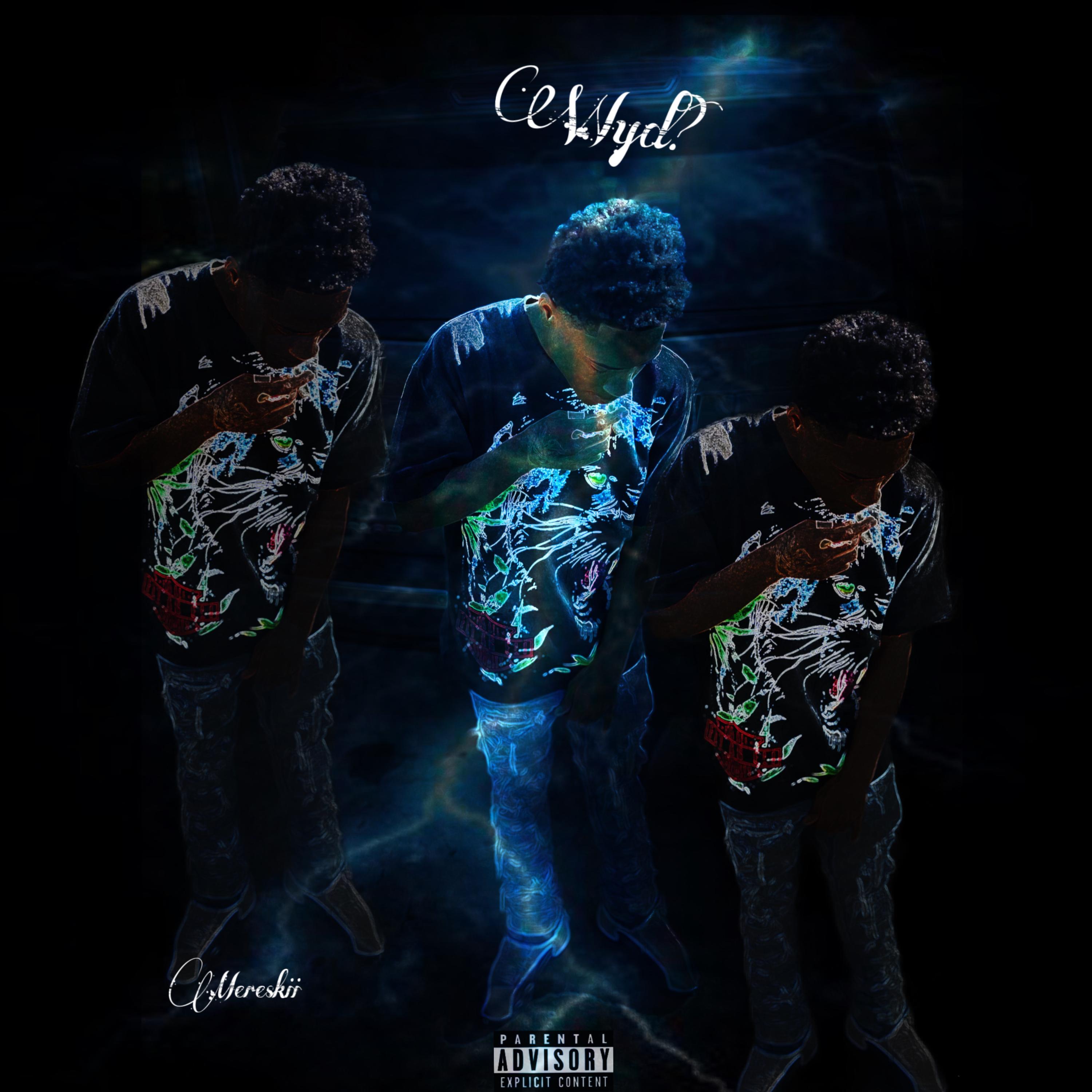 Wyd artwork