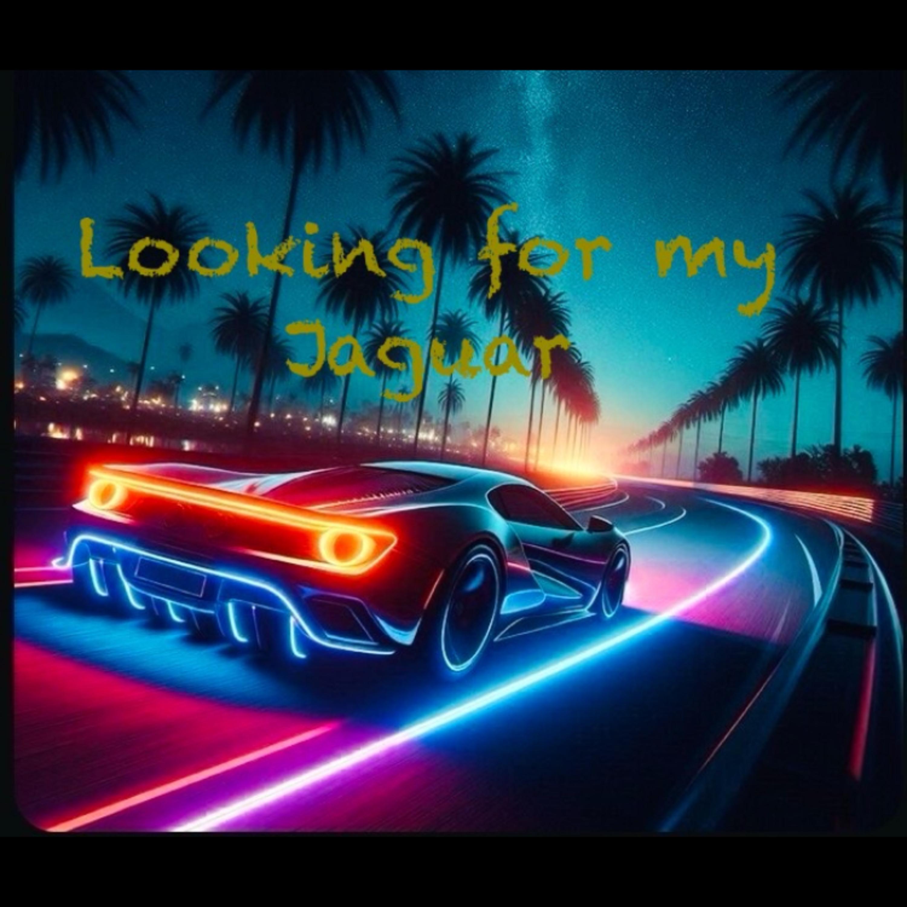 Looking For My Jaguar artwork