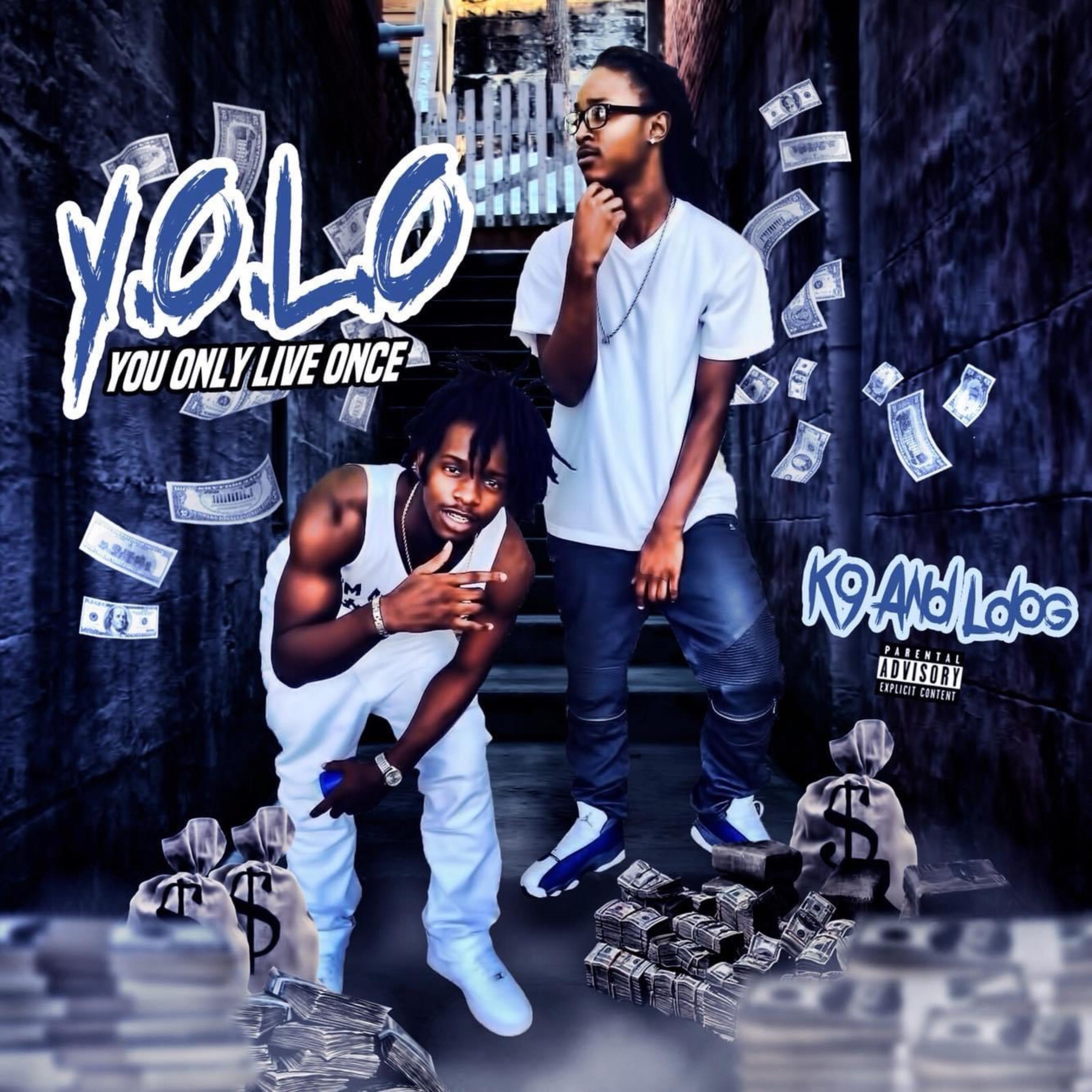 Y O L O artwork