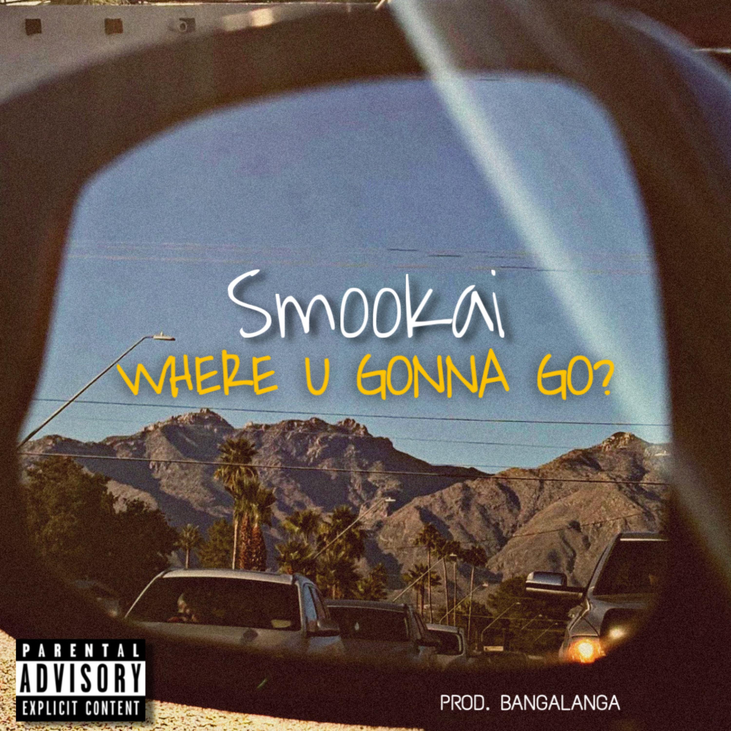 WHERE U GONNA GO? artwork