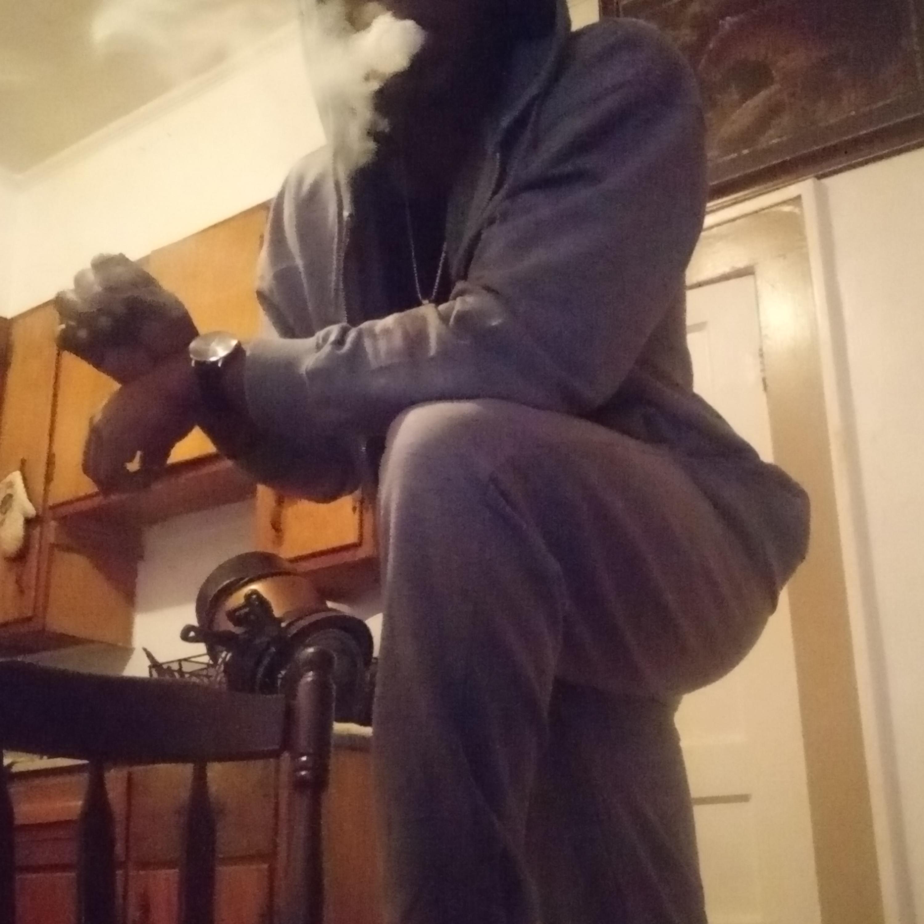 PUSSY N PLAYS artwork