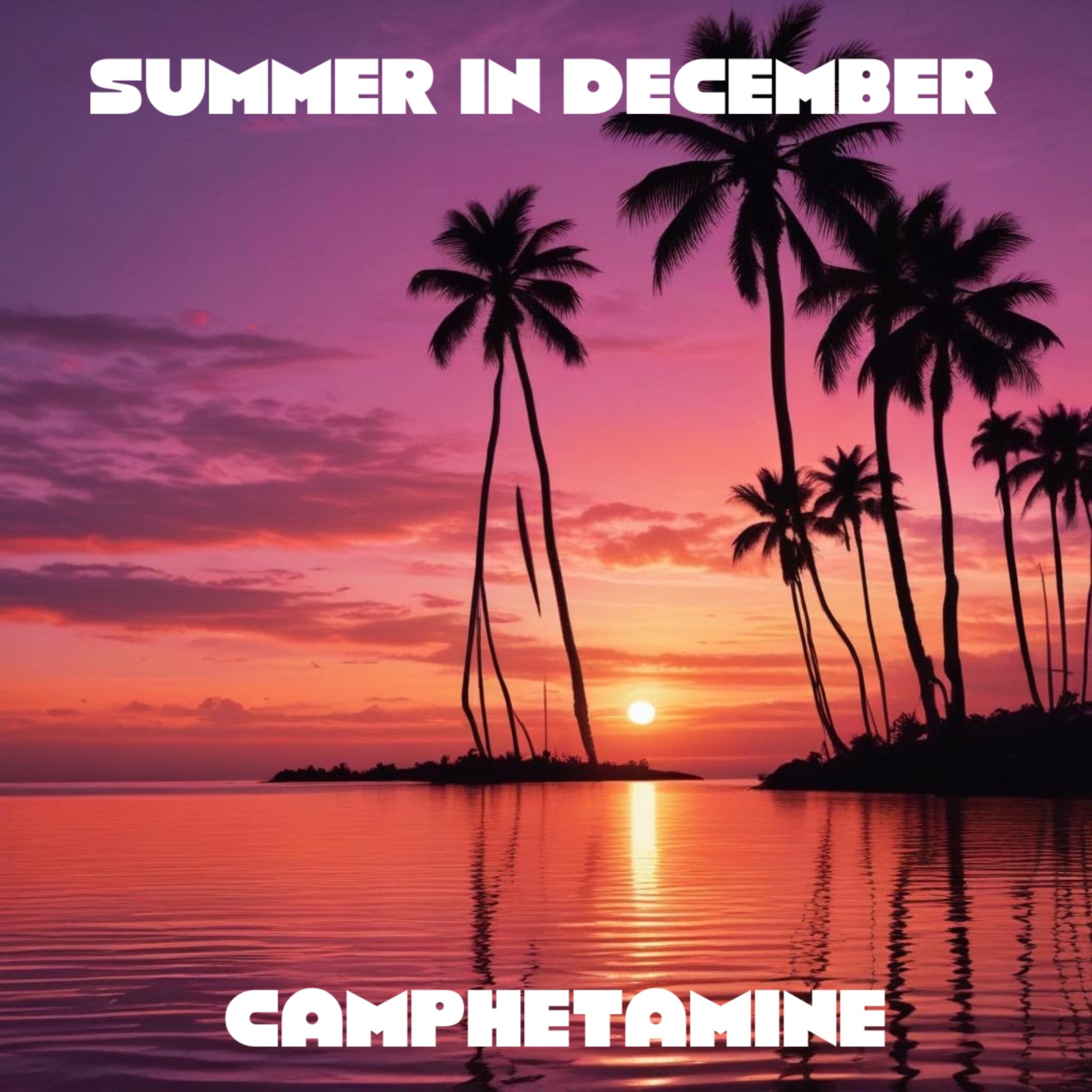 Summer In December artwork
