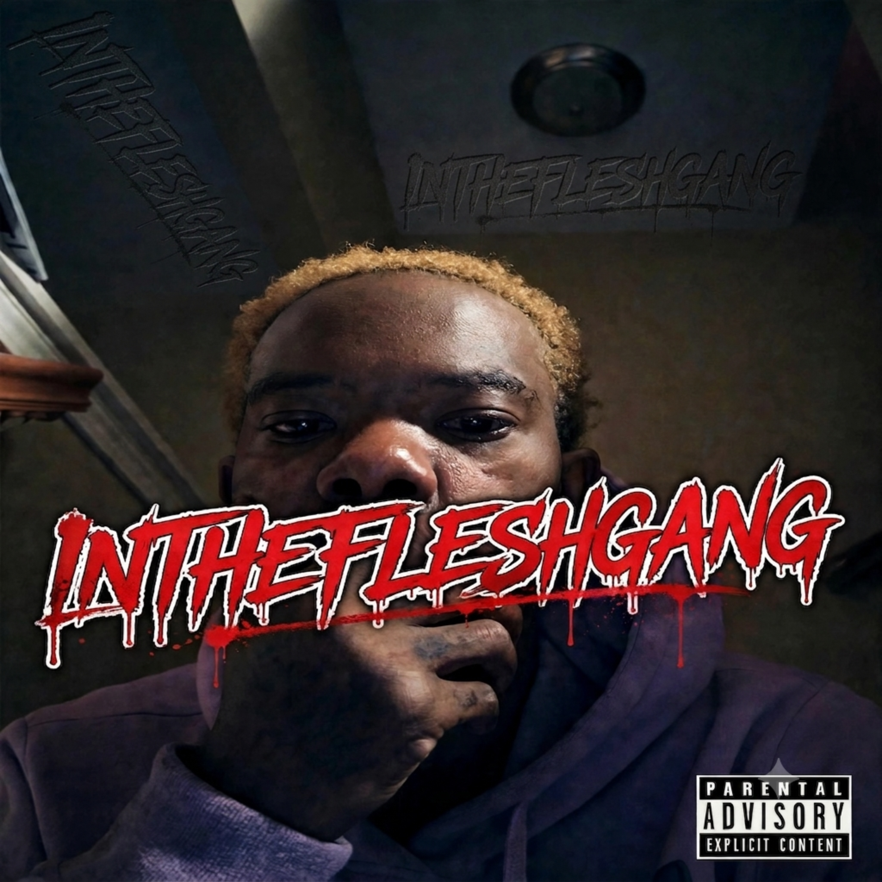 INTHEFLESHGANG by chris1andonly cover art