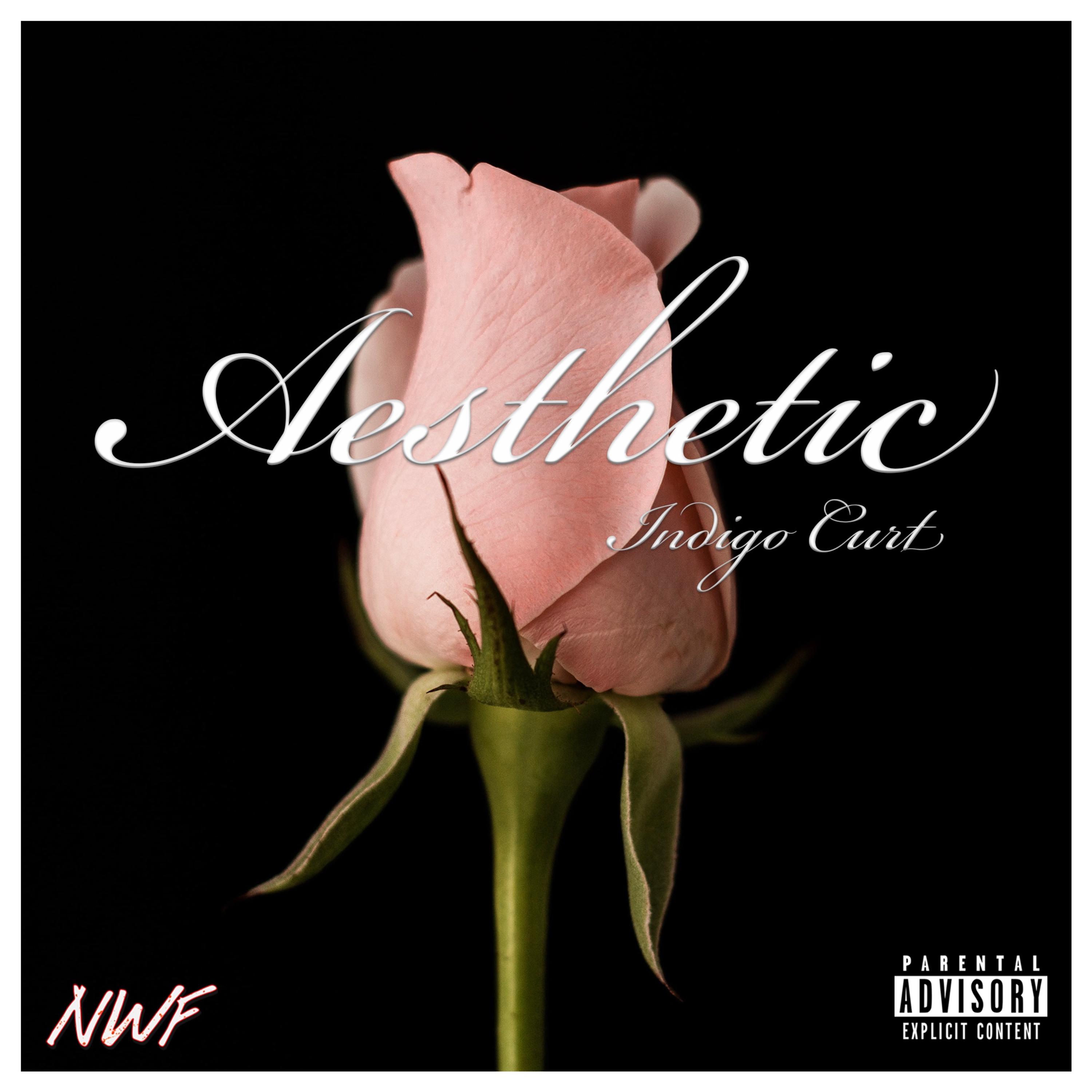 THE AESTHETIC ALBUM artwork