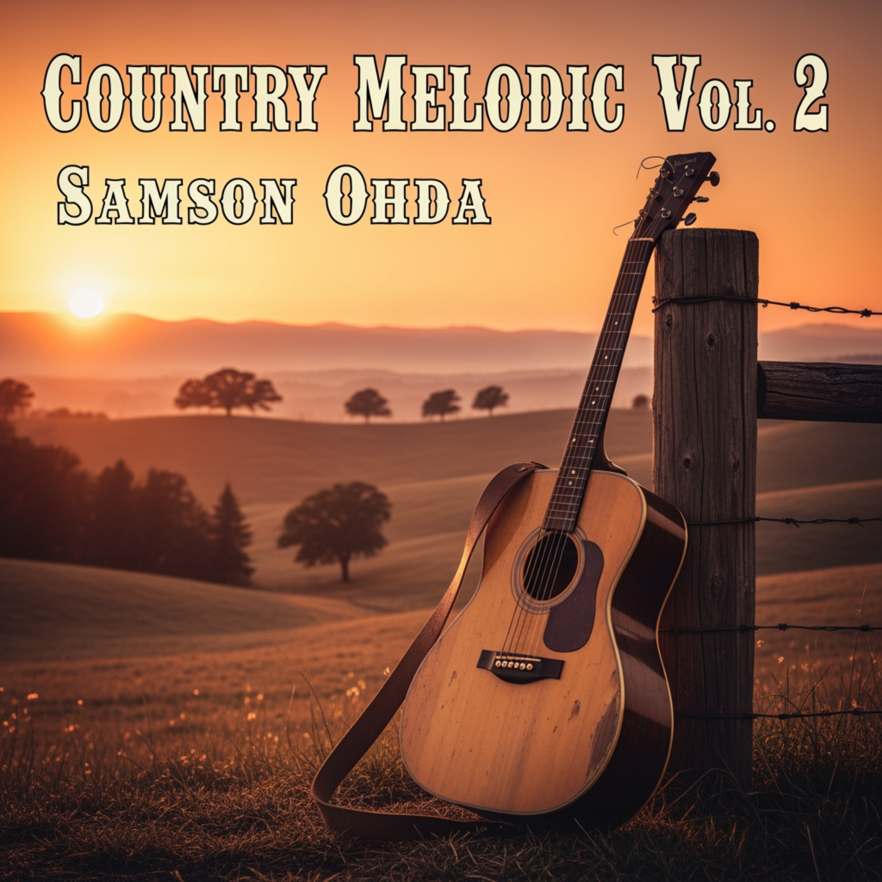 Country Melodic Vol 2 artwork