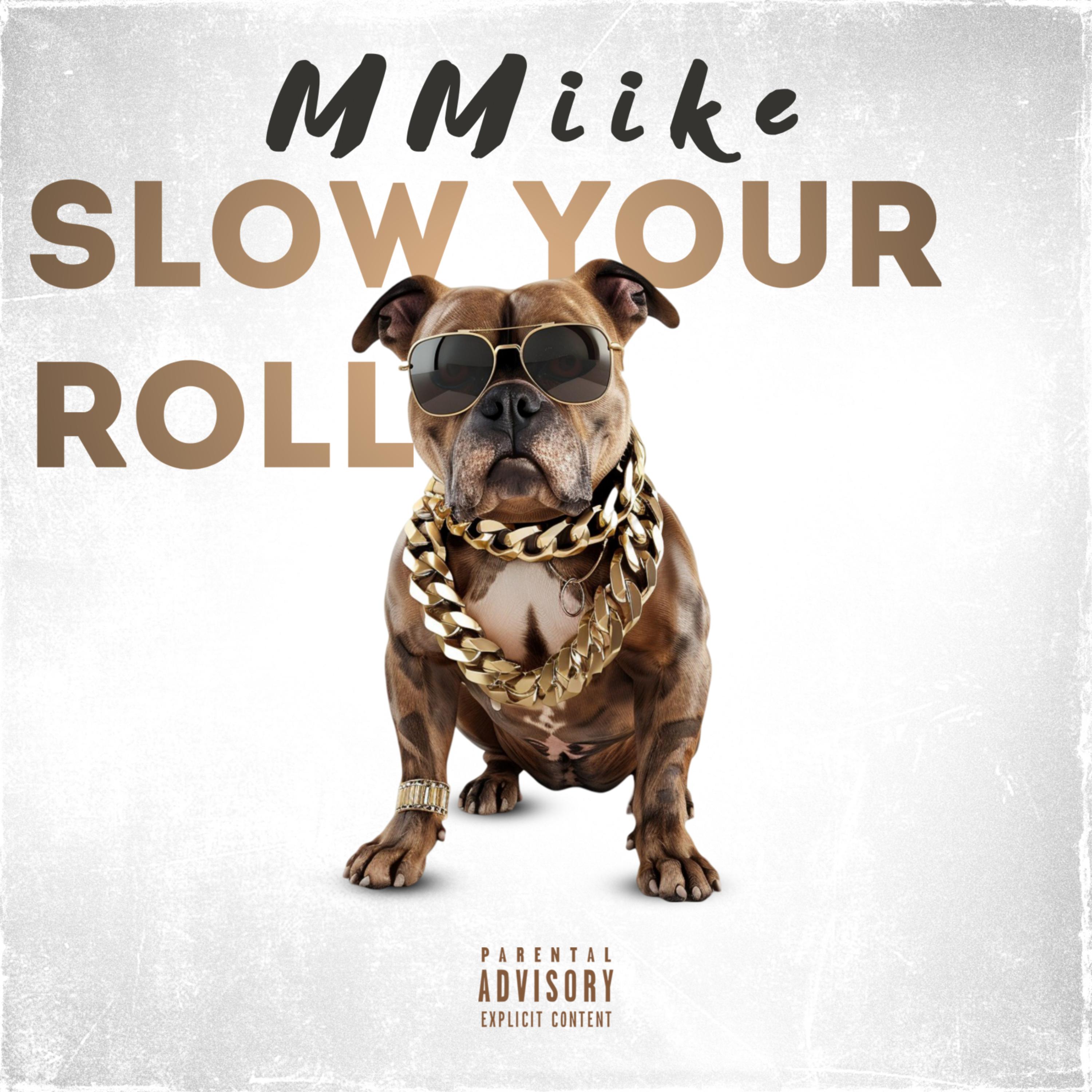 Slow Your Roll artwork