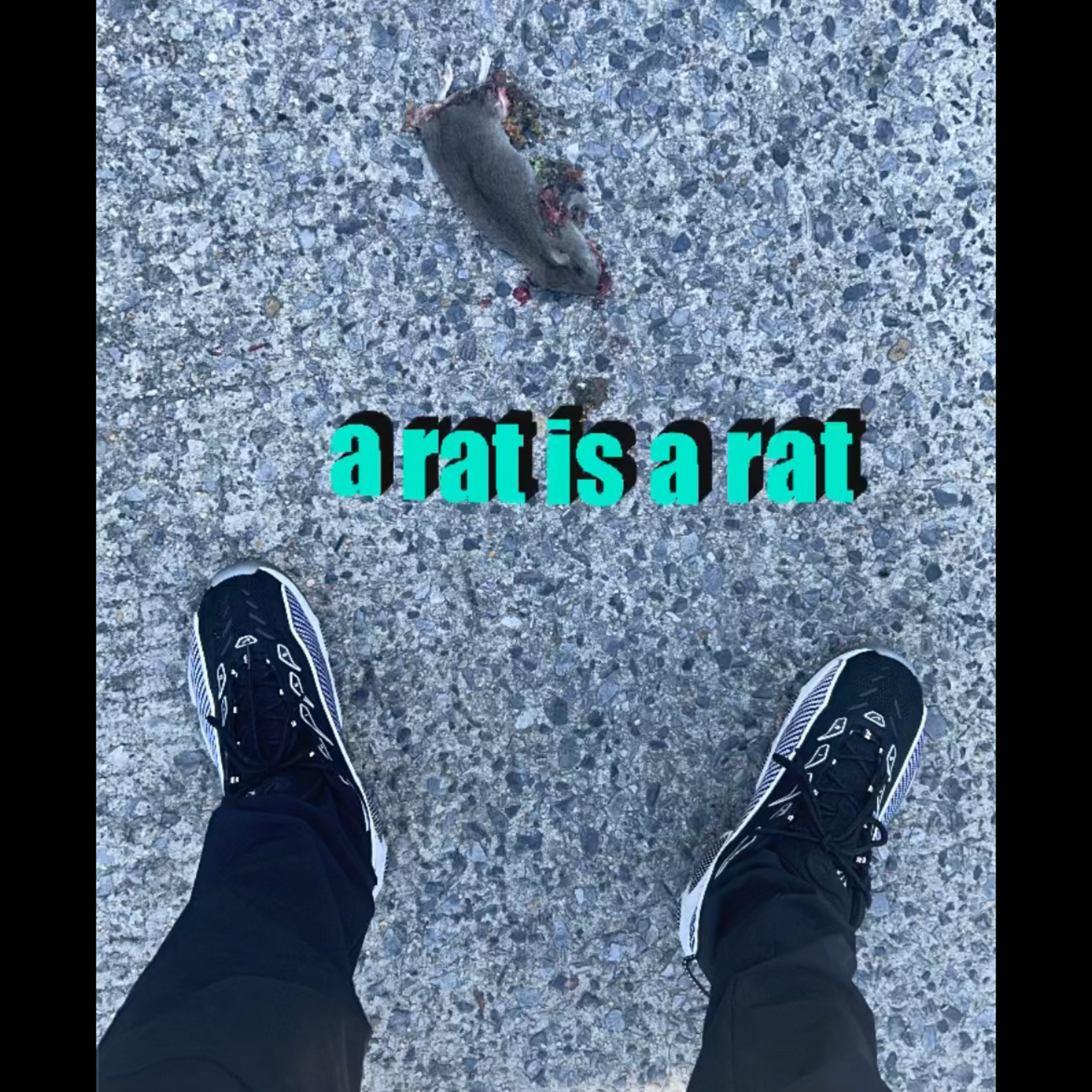 A RAT IS A RAT artwork