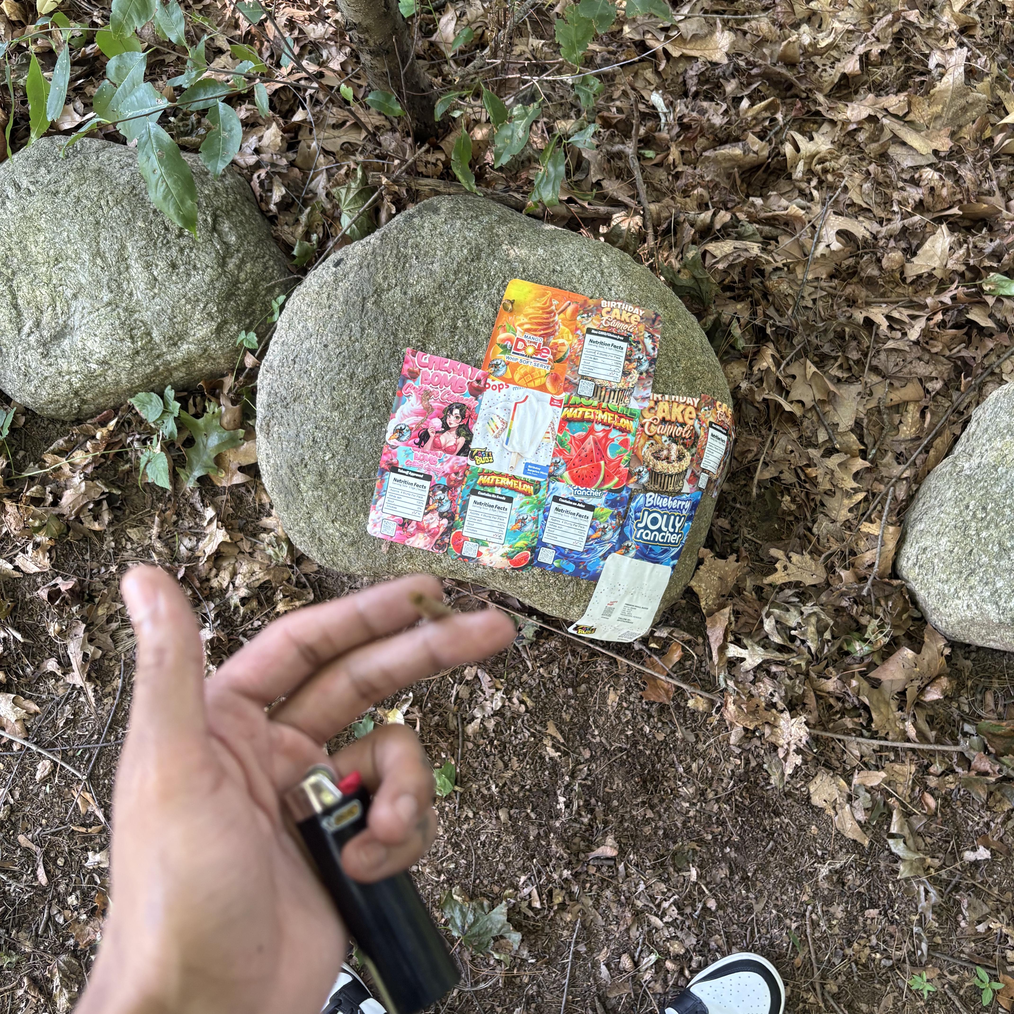 Last Summer artwork