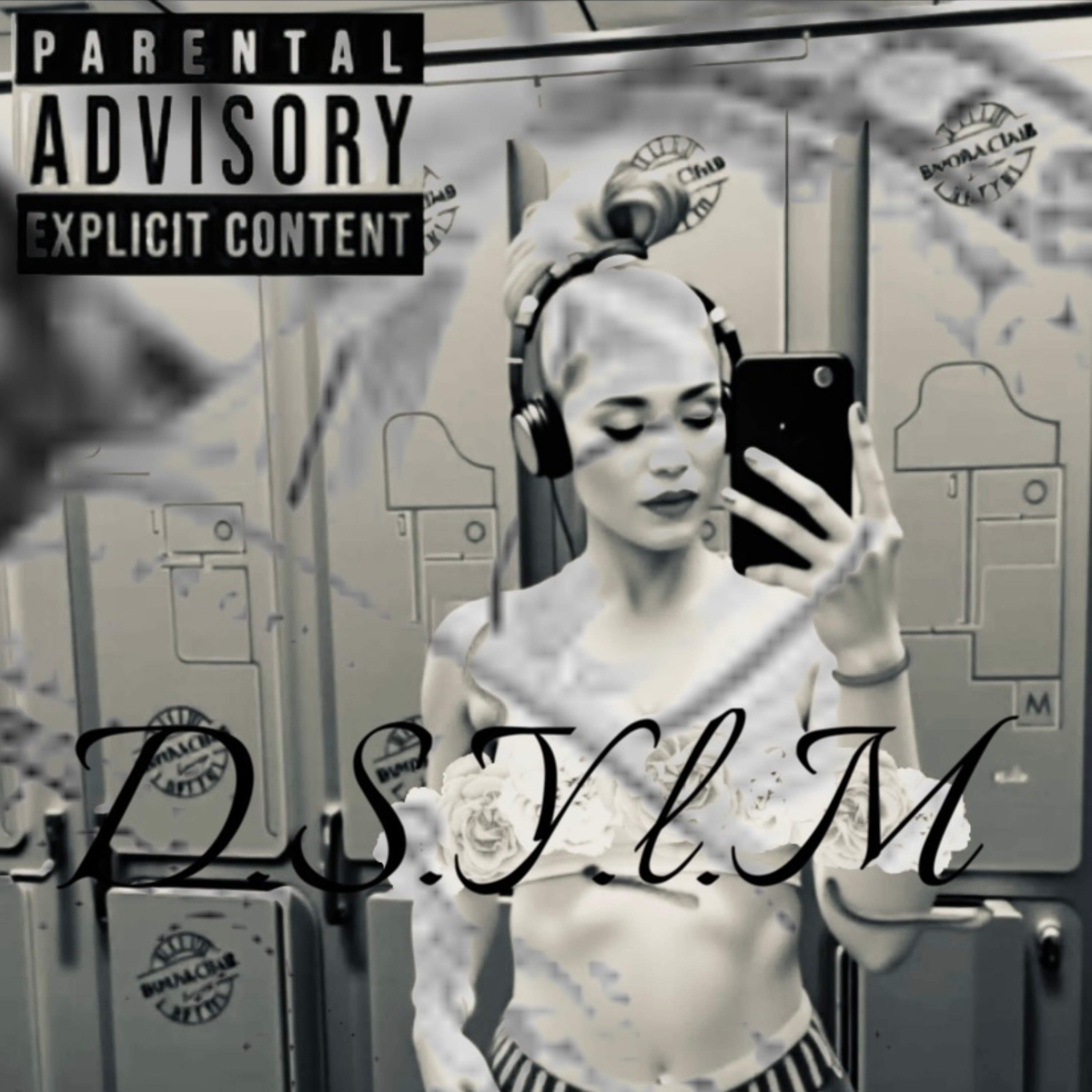 D.S.Y.L.M artwork