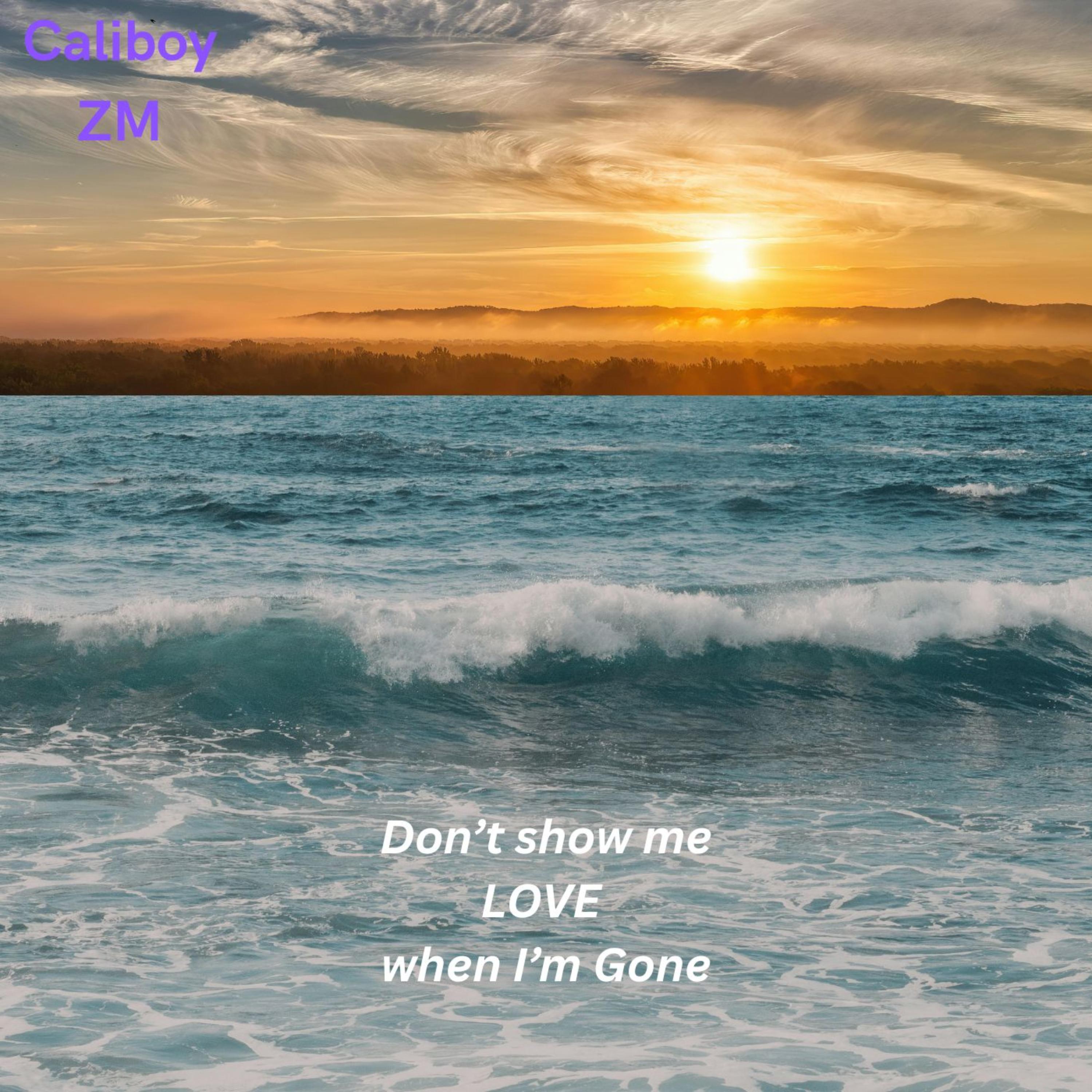 Don't show me love when I'm gone by Caliboy ZM cover art