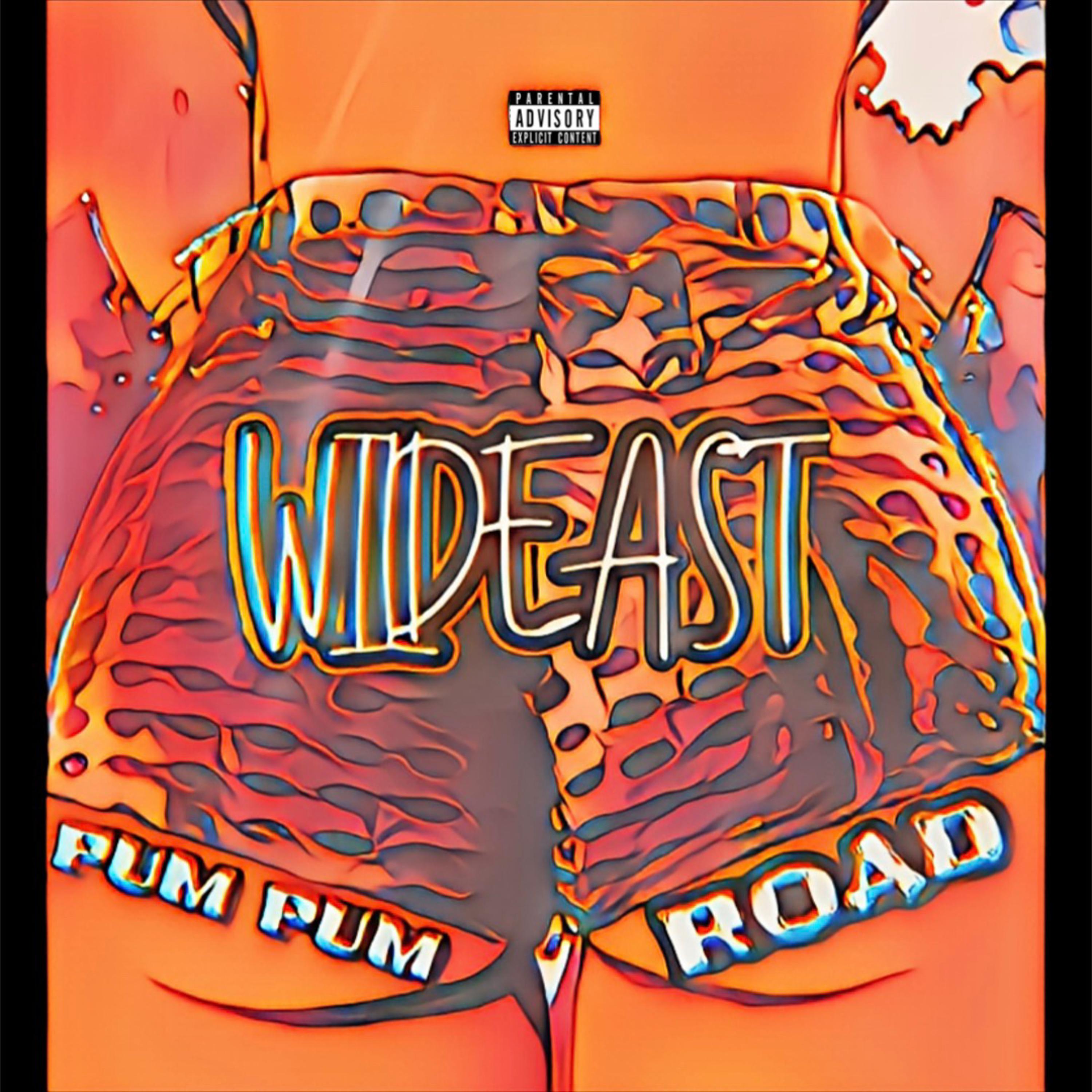 Pum Pum Road by Wildeast cover art