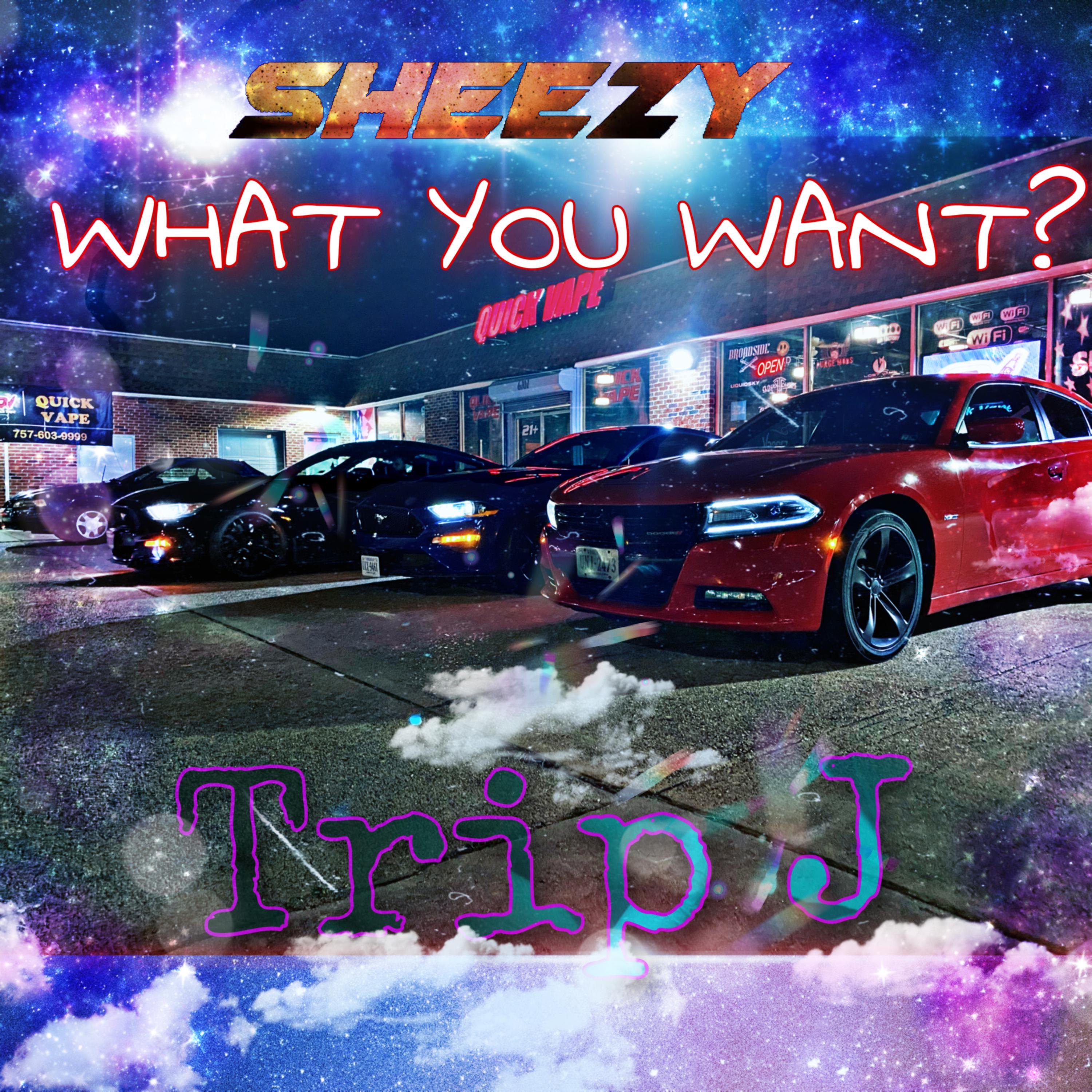 What You Want? by SPR Sheezy cover art