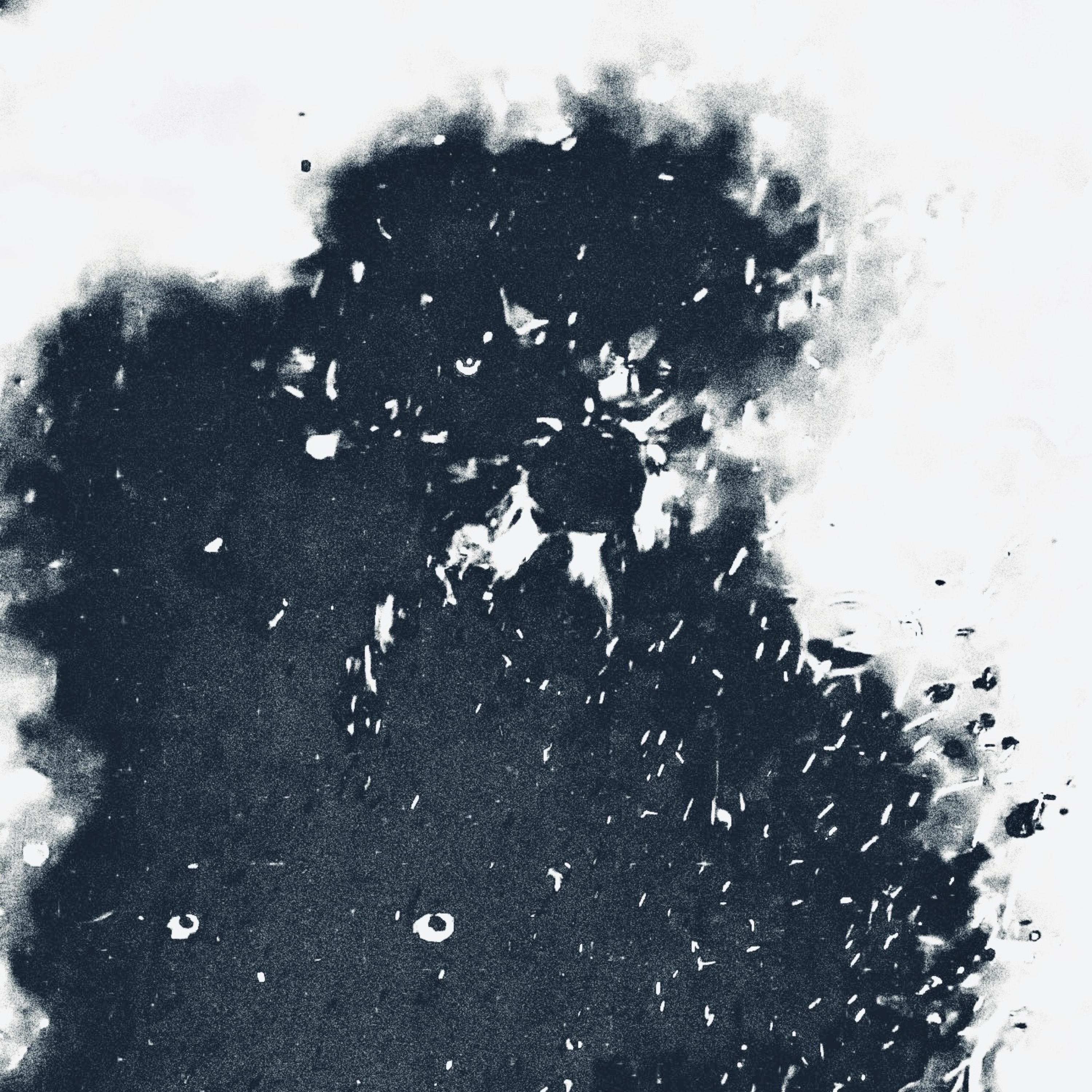 Reign artwork