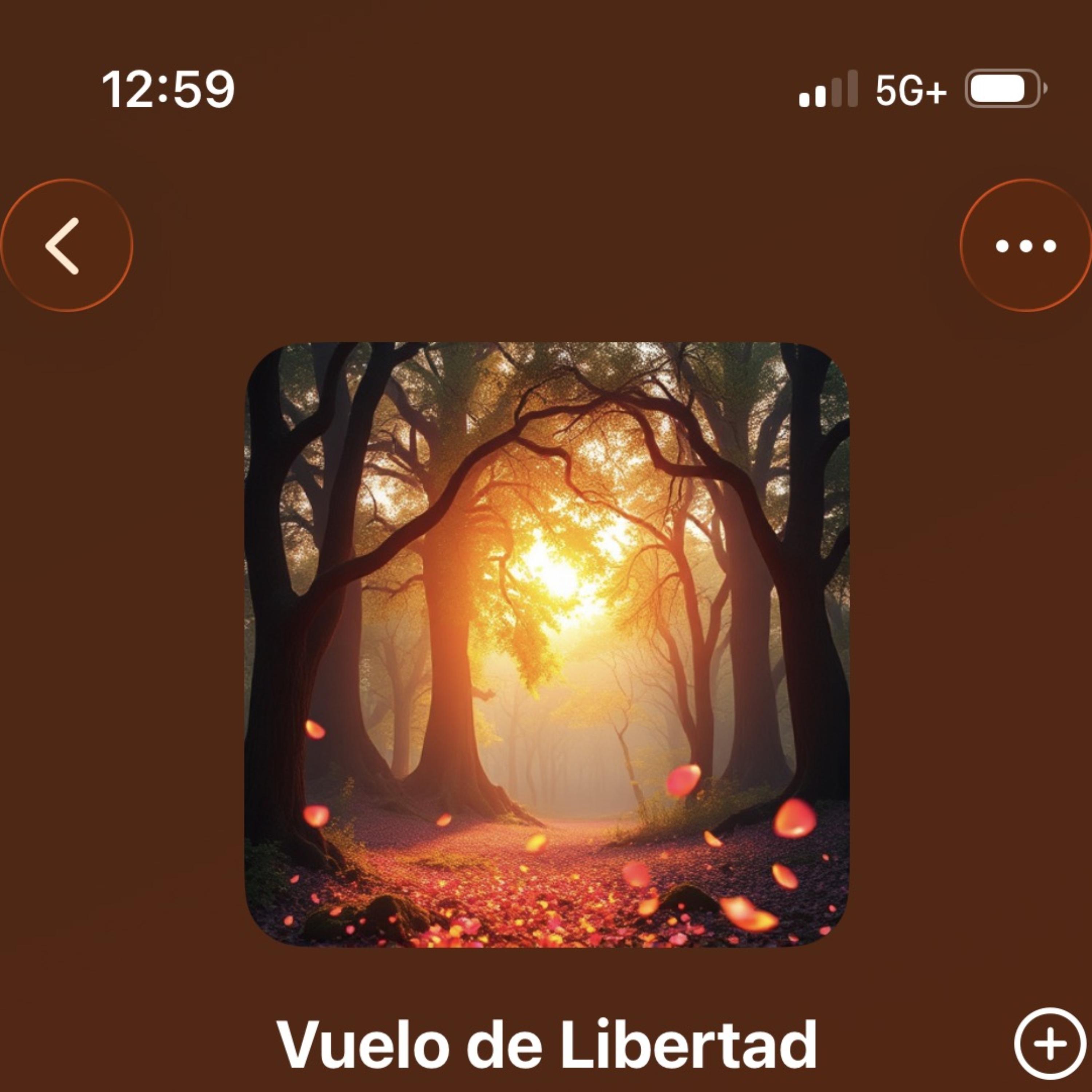Vuelo De Libertad artwork