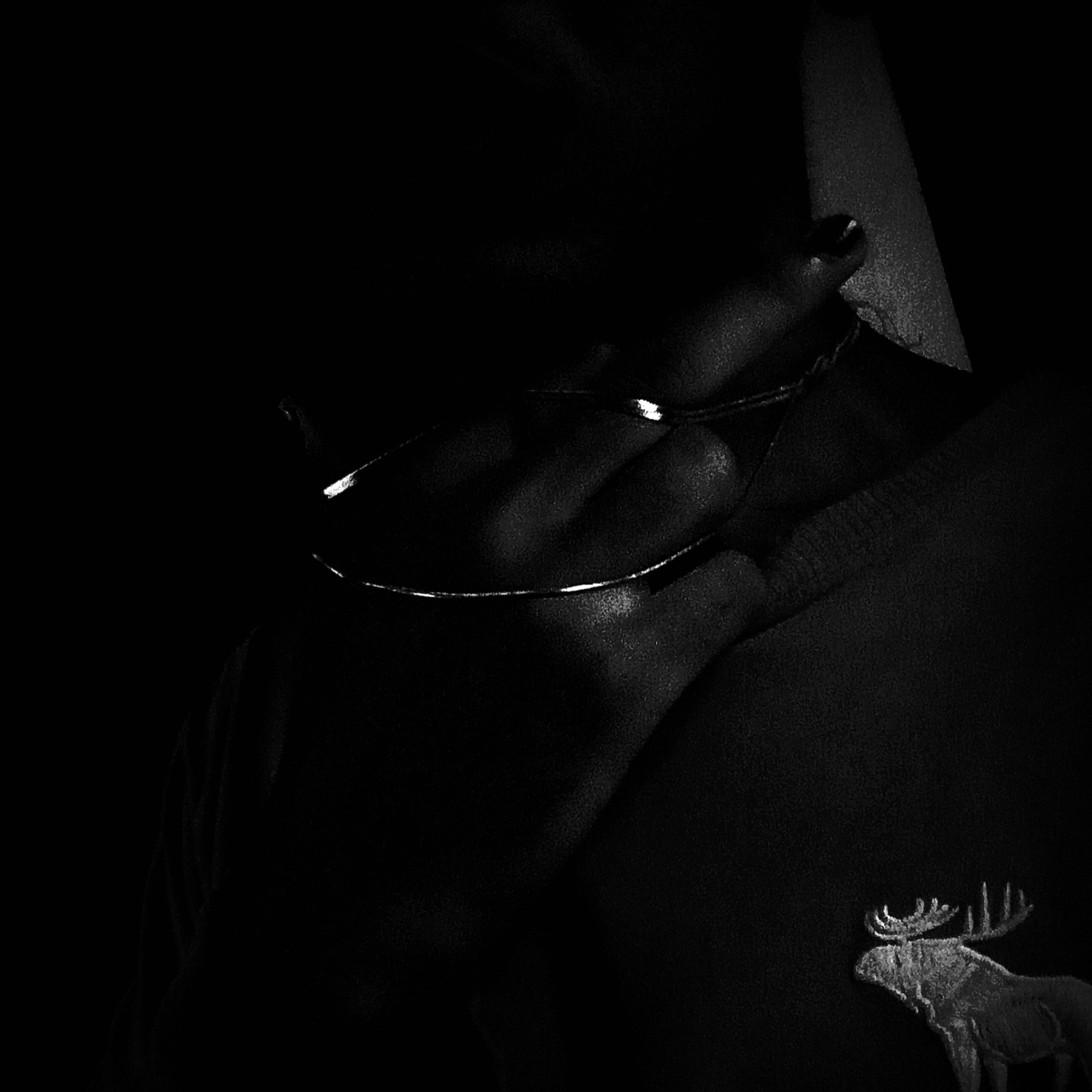 SEM COMPROMISSO artwork