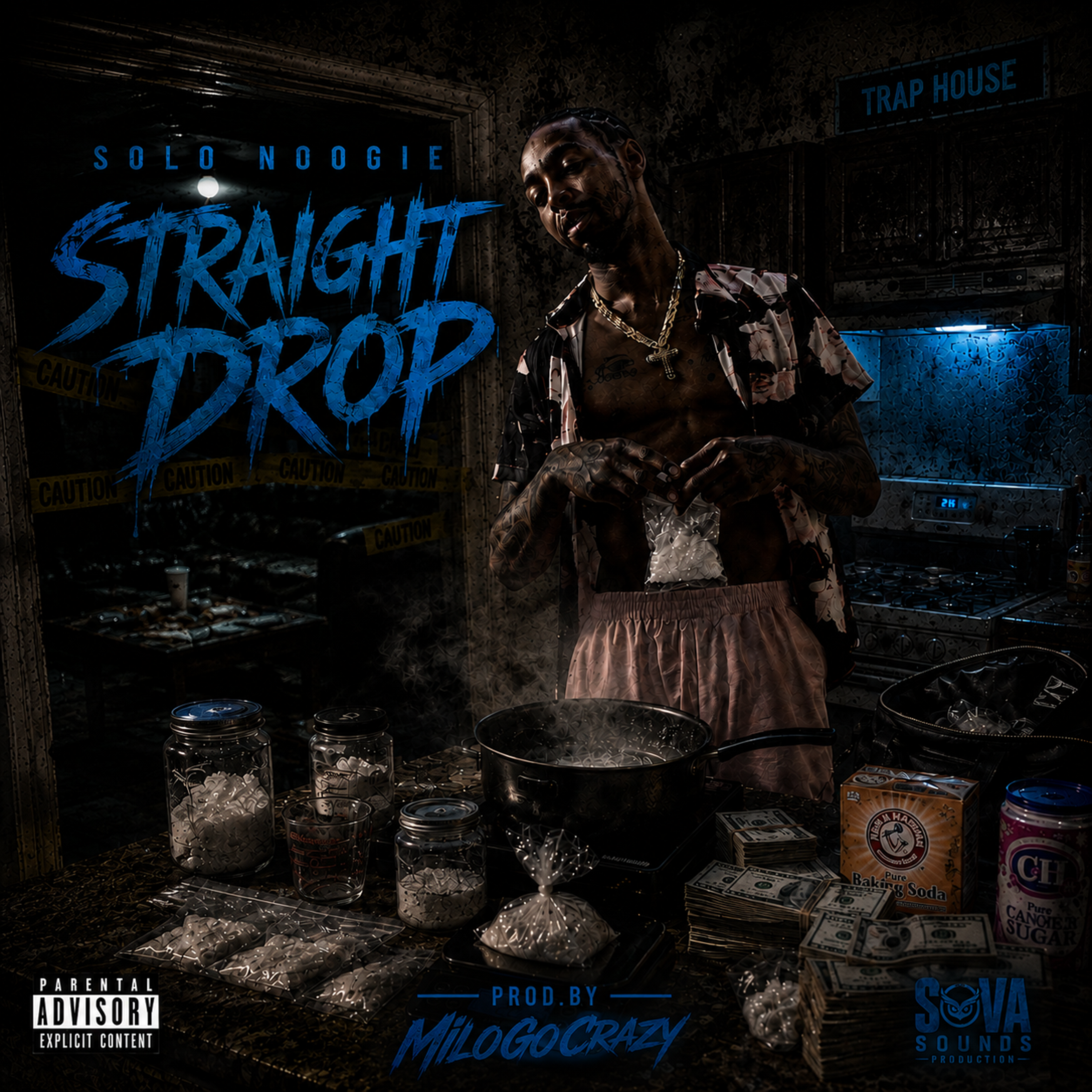 Straight Drop by Solo Noogie cover art