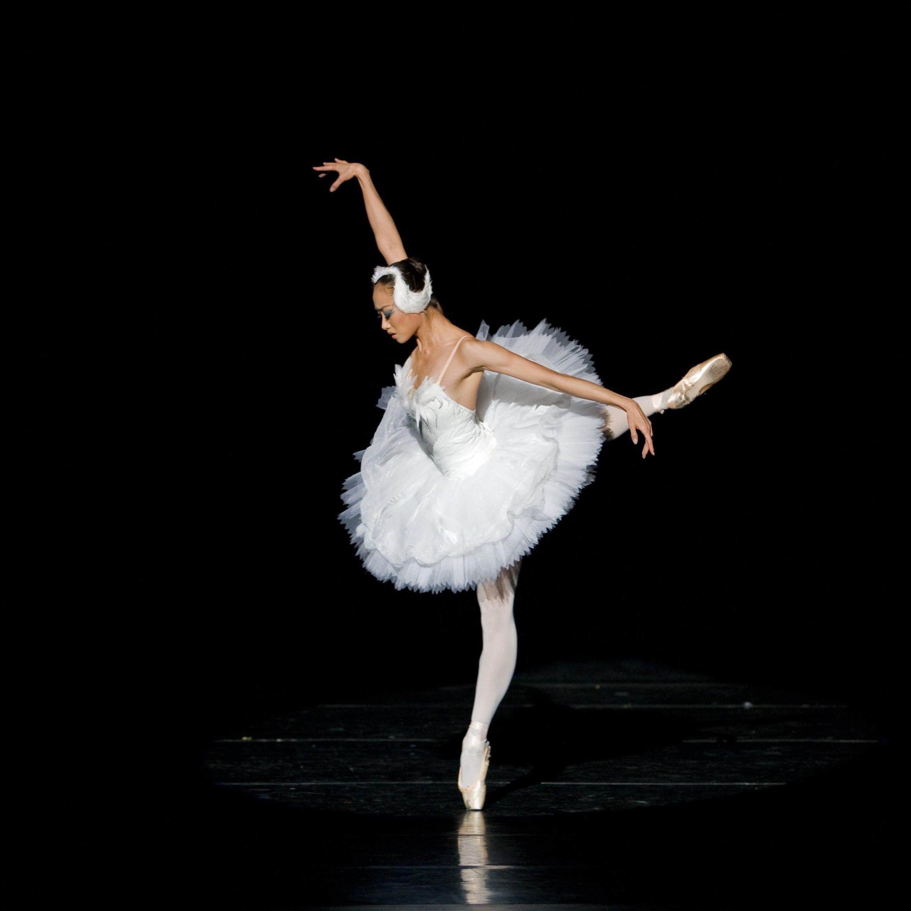 THE BALLERINA'S SYMPHONY artwork