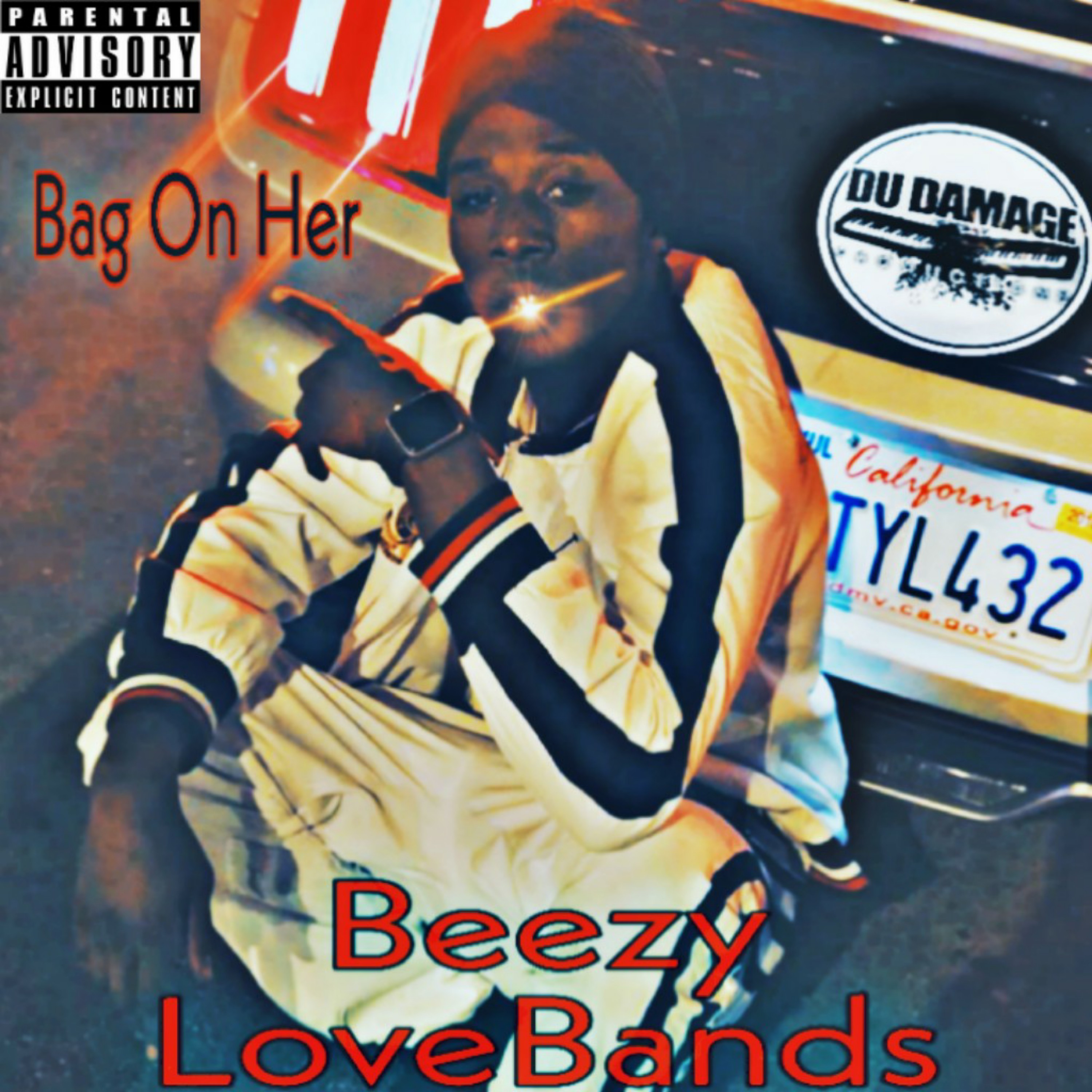 Bag On Her artwork