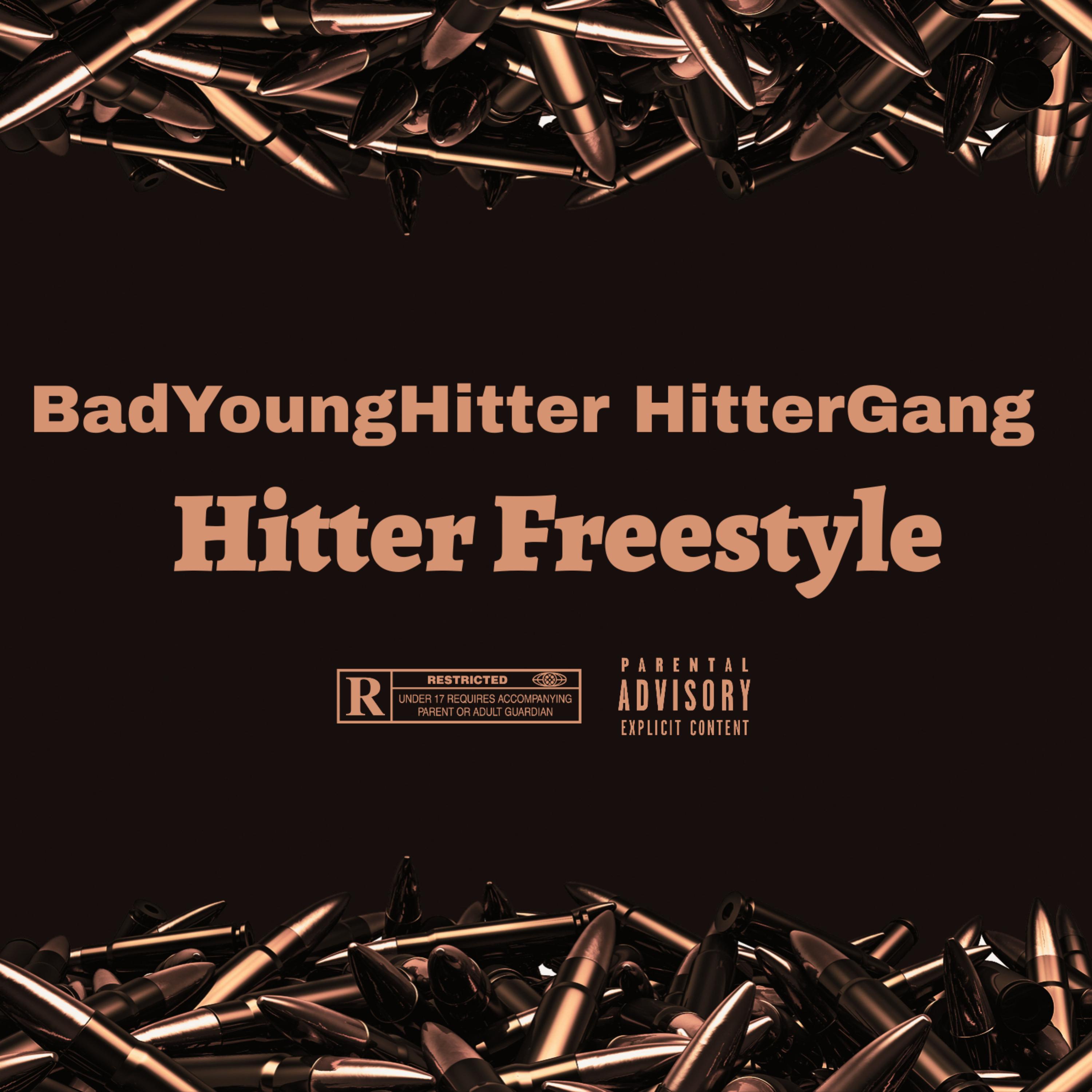 Hitter Freestyle artwork