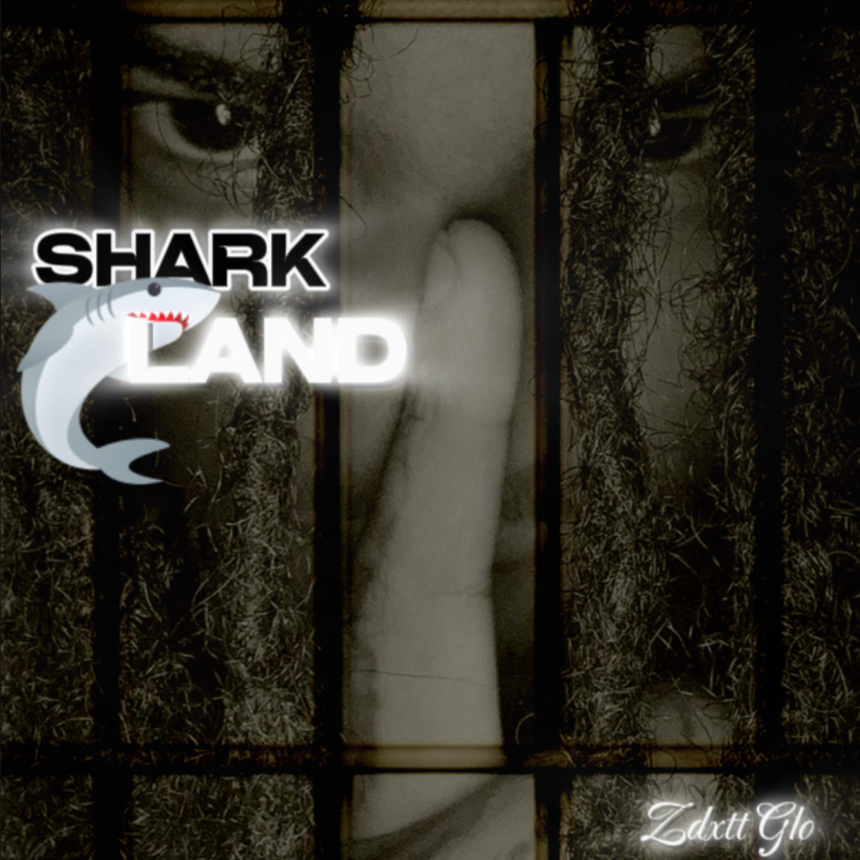 Shark Land artwork