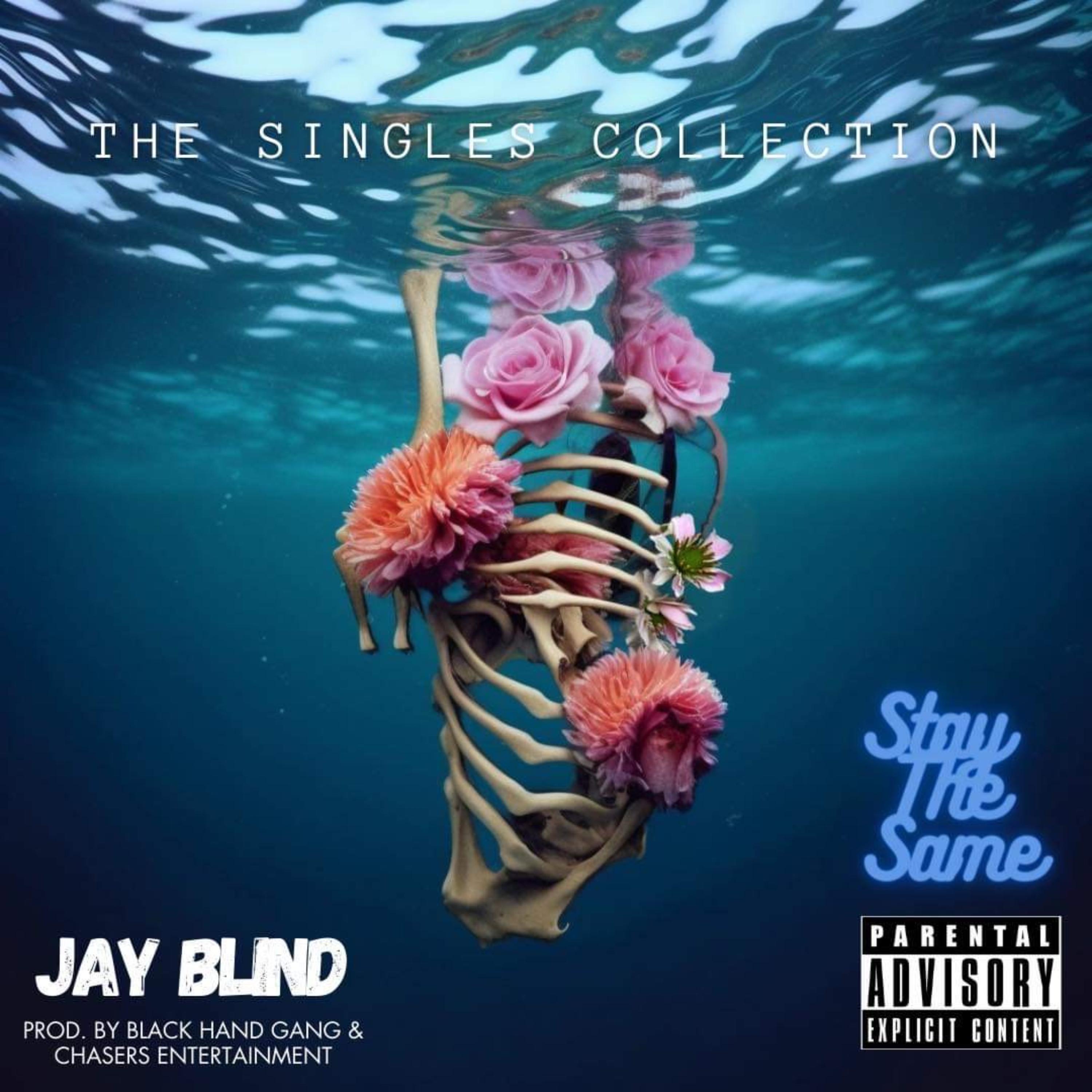stay the same artwork