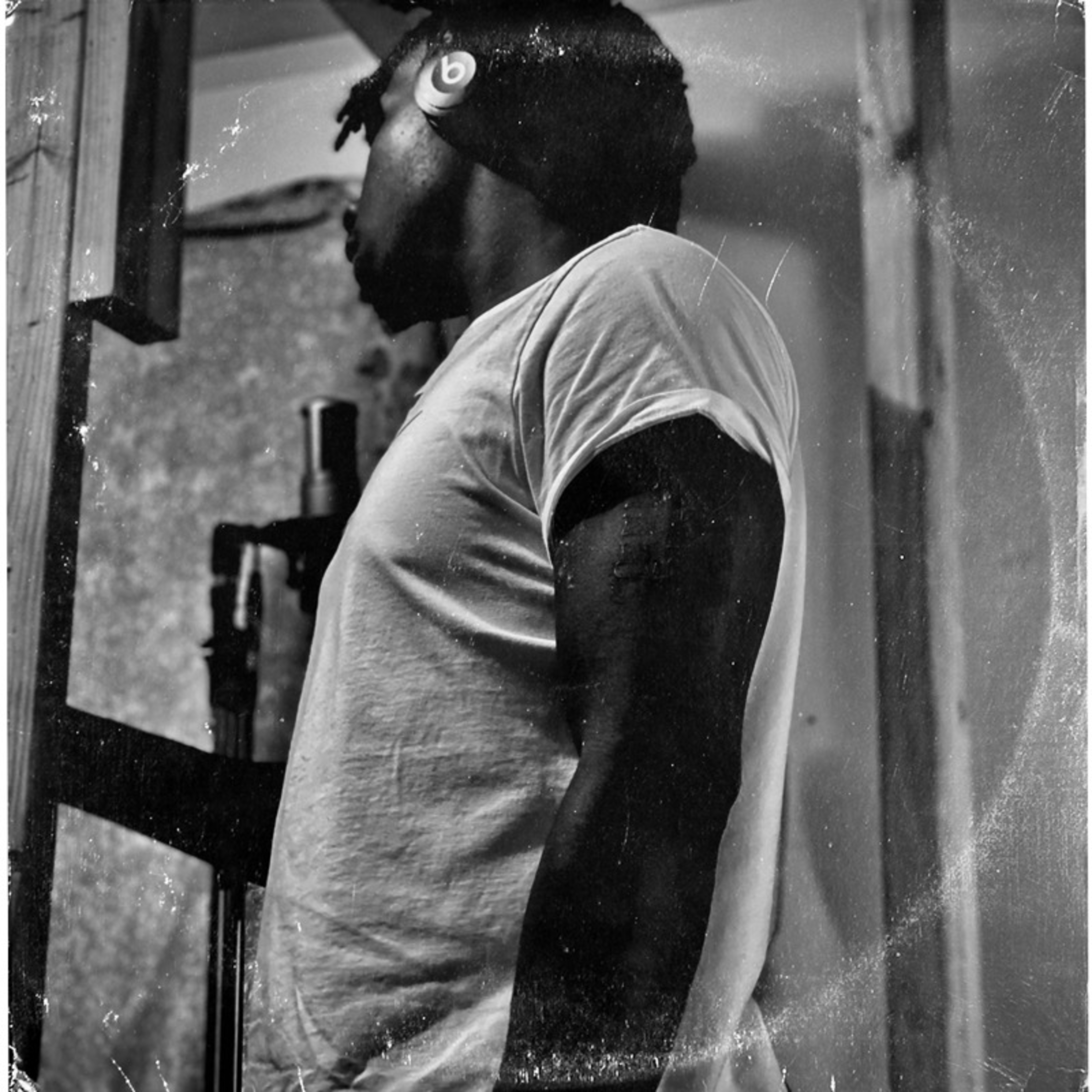 Fleas and Tics artwork