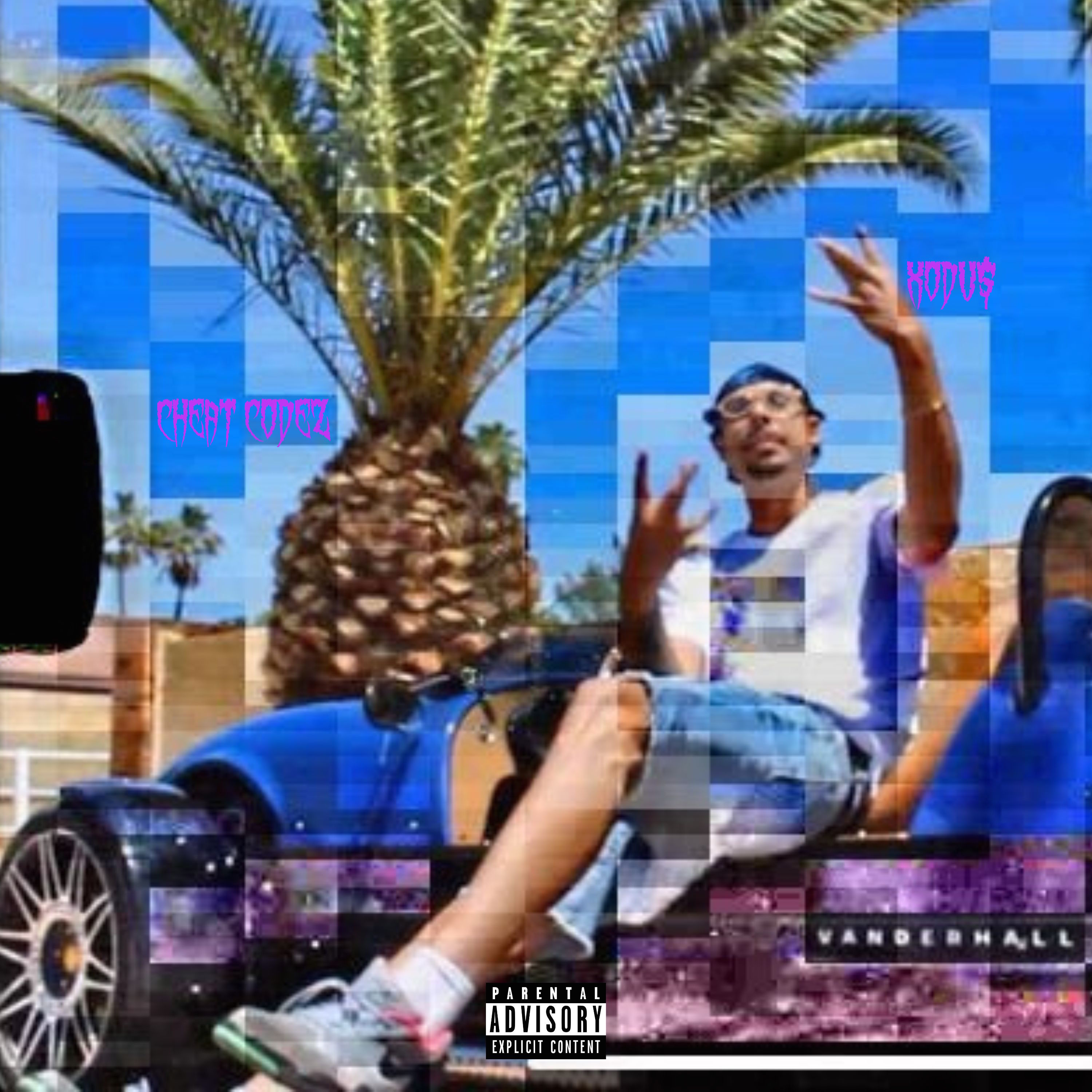 Cheat Codez artwork