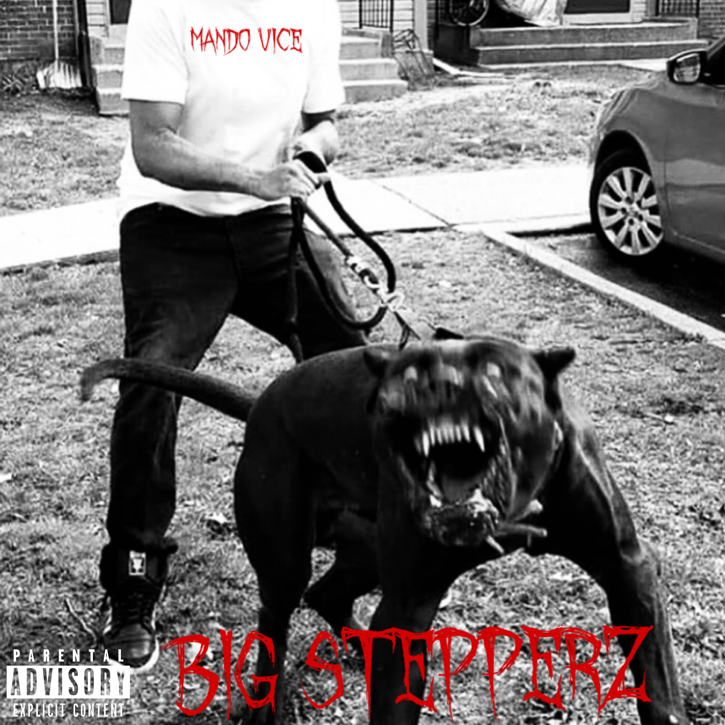 BIG STEPPERZ artwork