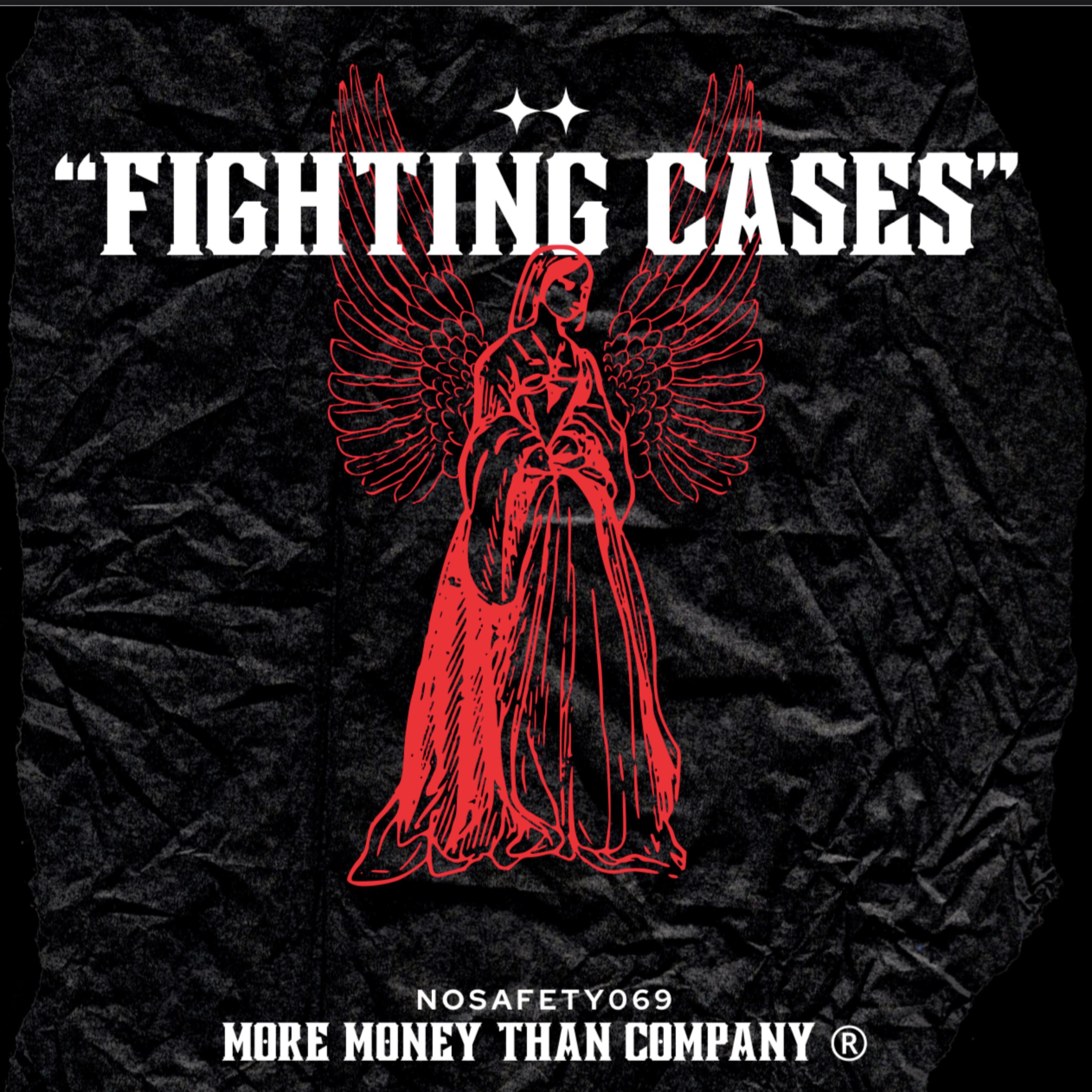 Fighting Cases artwork
