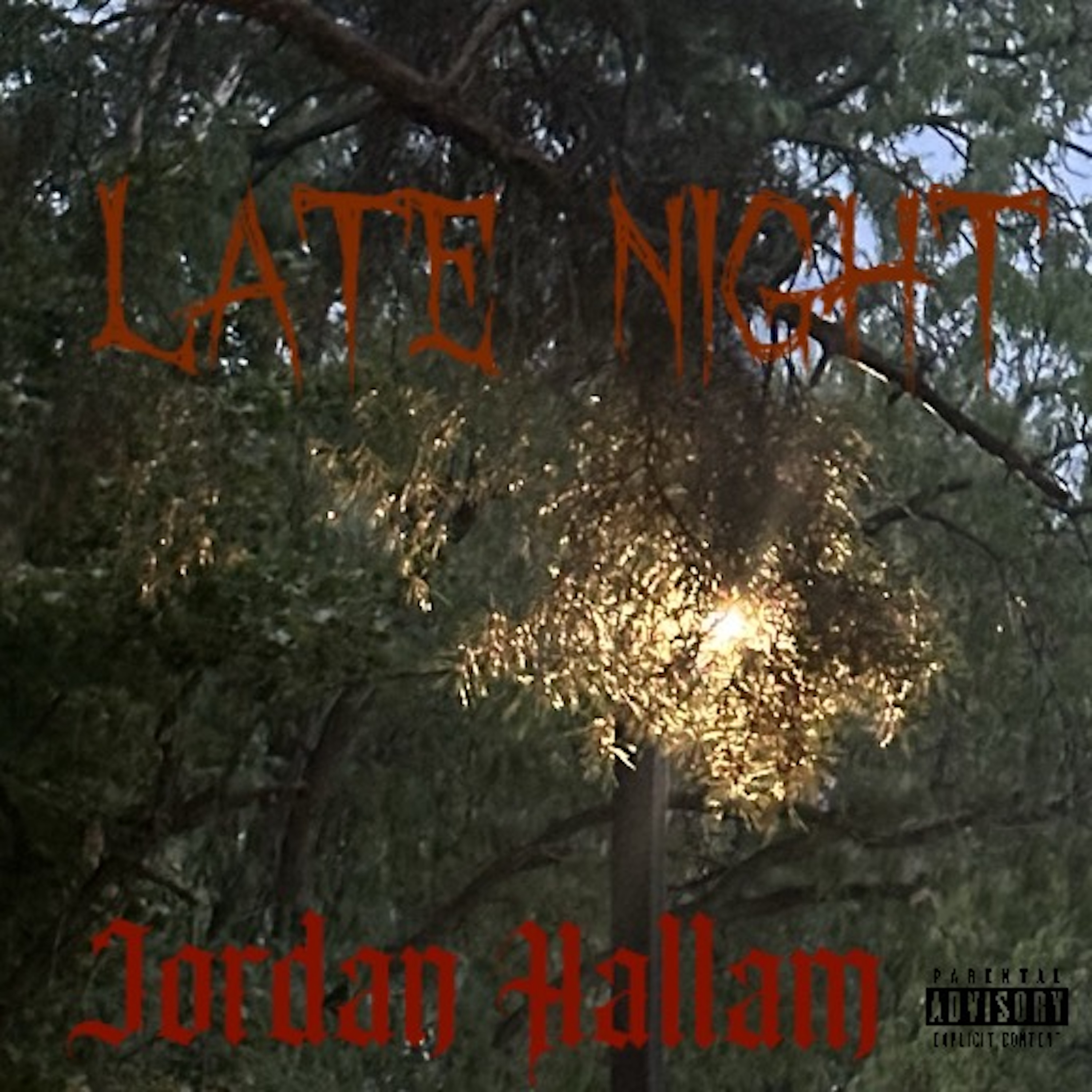 LATE NIGHT by Jordan Hallam cover art