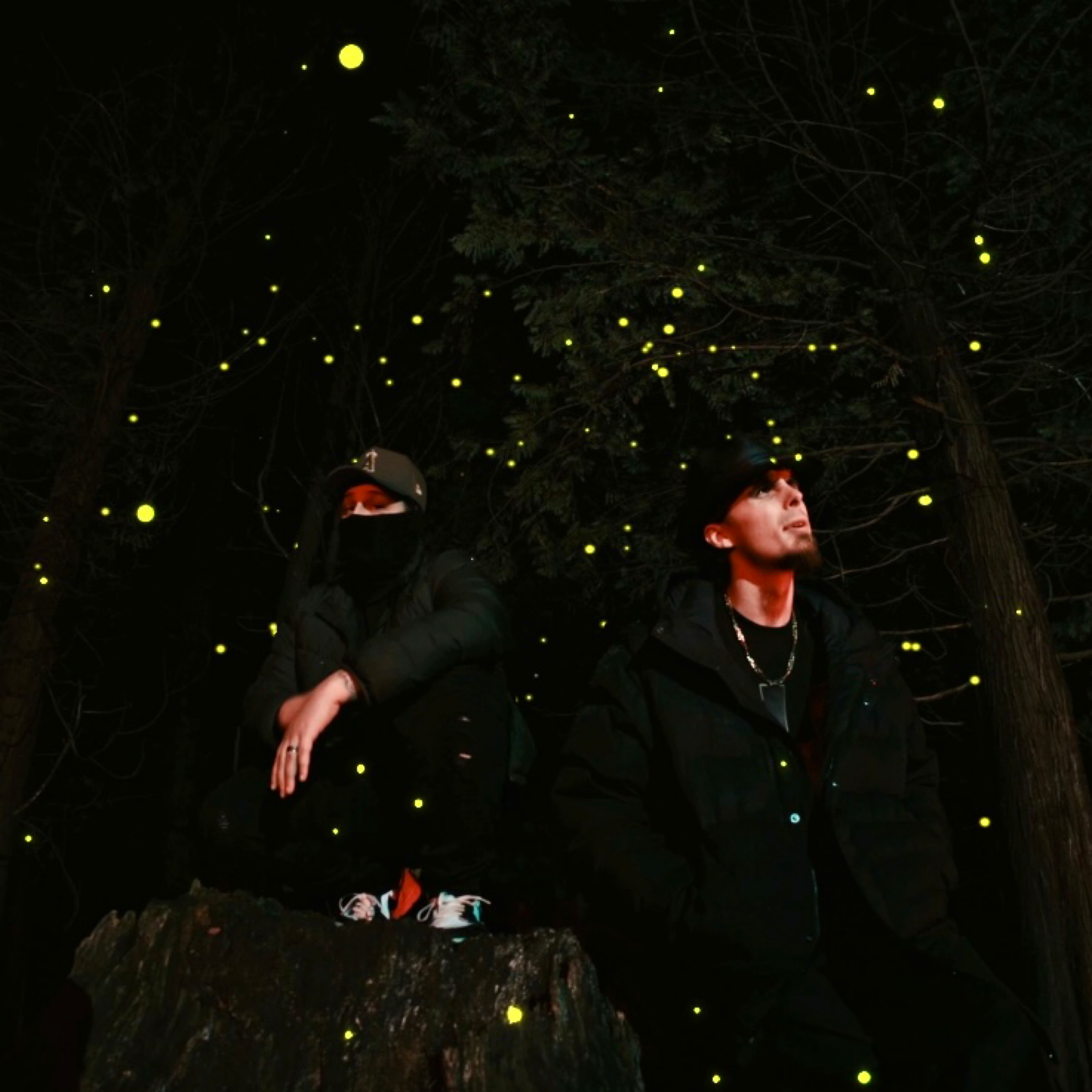 Fireflies artwork