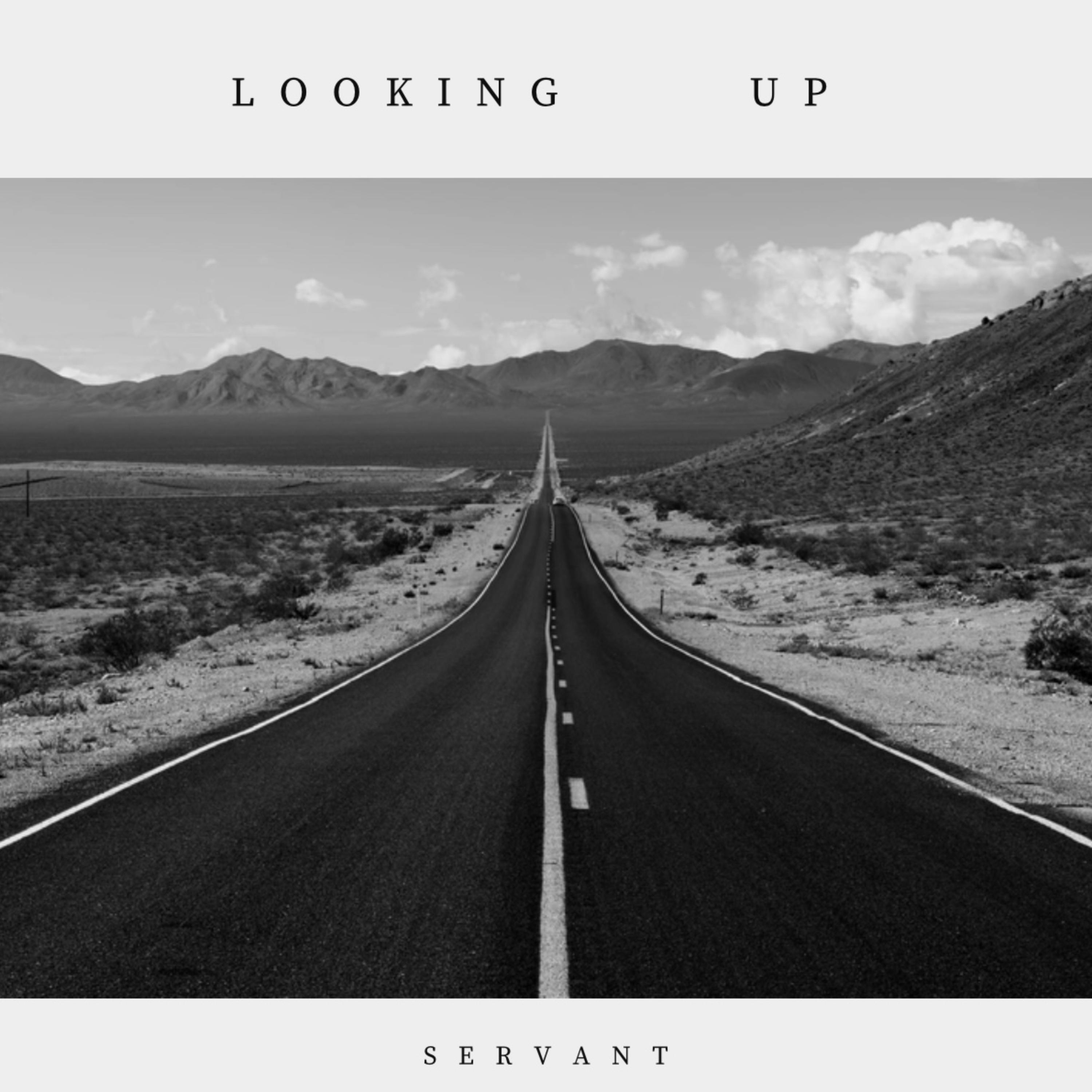 Looking Up artwork